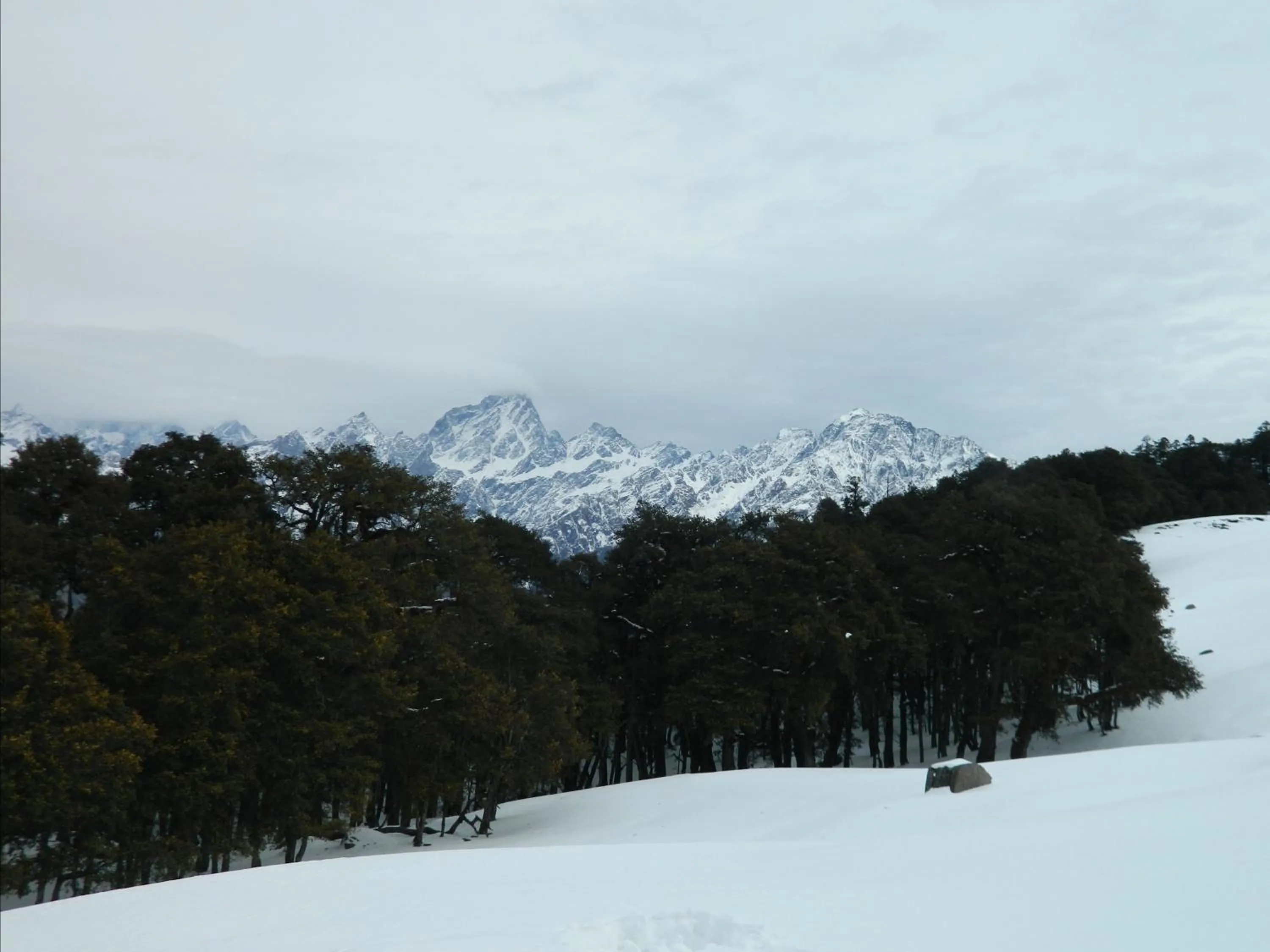 View (from property/room) in The Hosteller Kasol, Parvati Valley