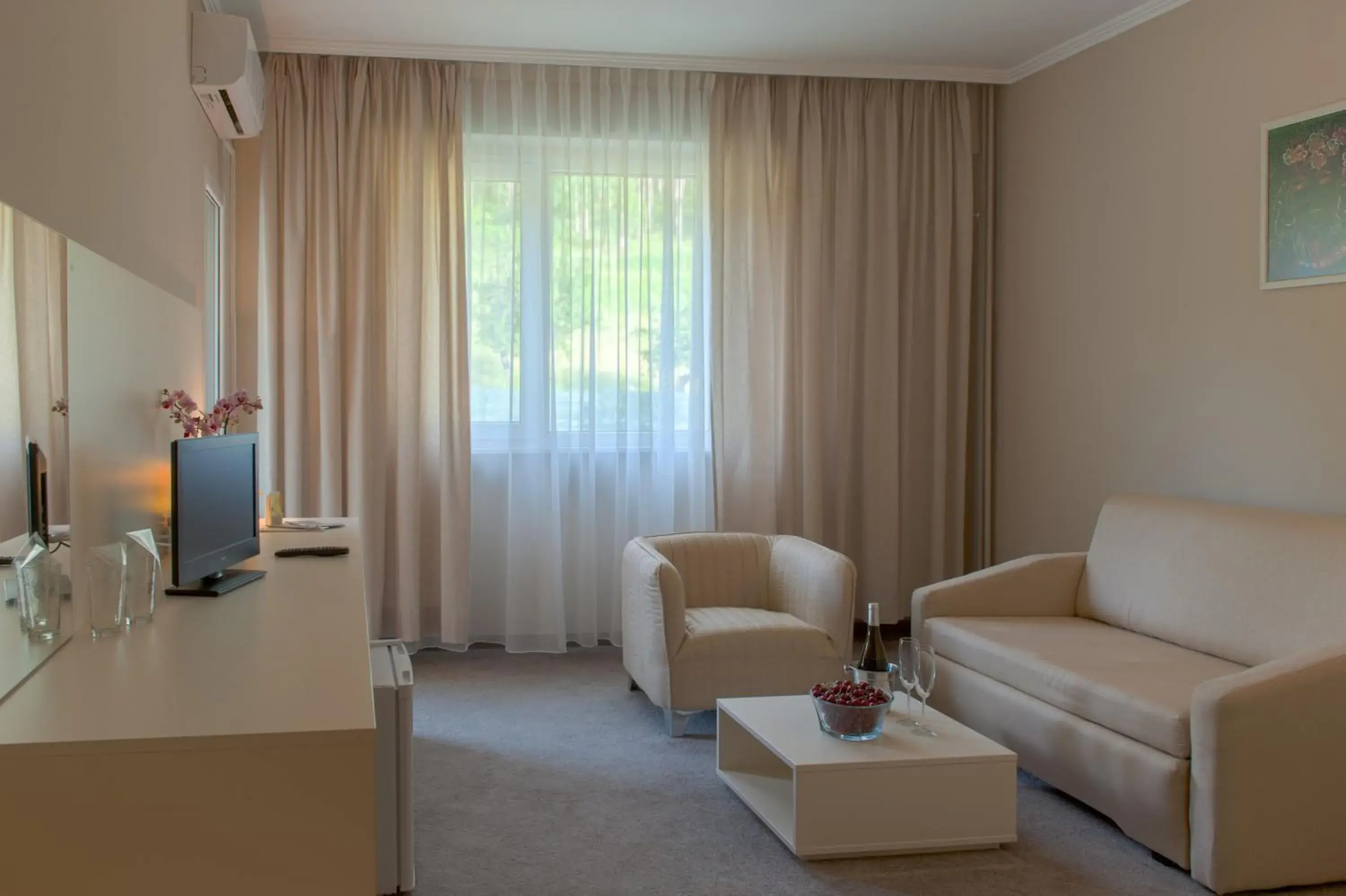 One-Bedroom Apartment - single occupancy in Парк хотел Кюстендил One-Bedroom Apartment - single occupancy in Парк хотел Кюстендил