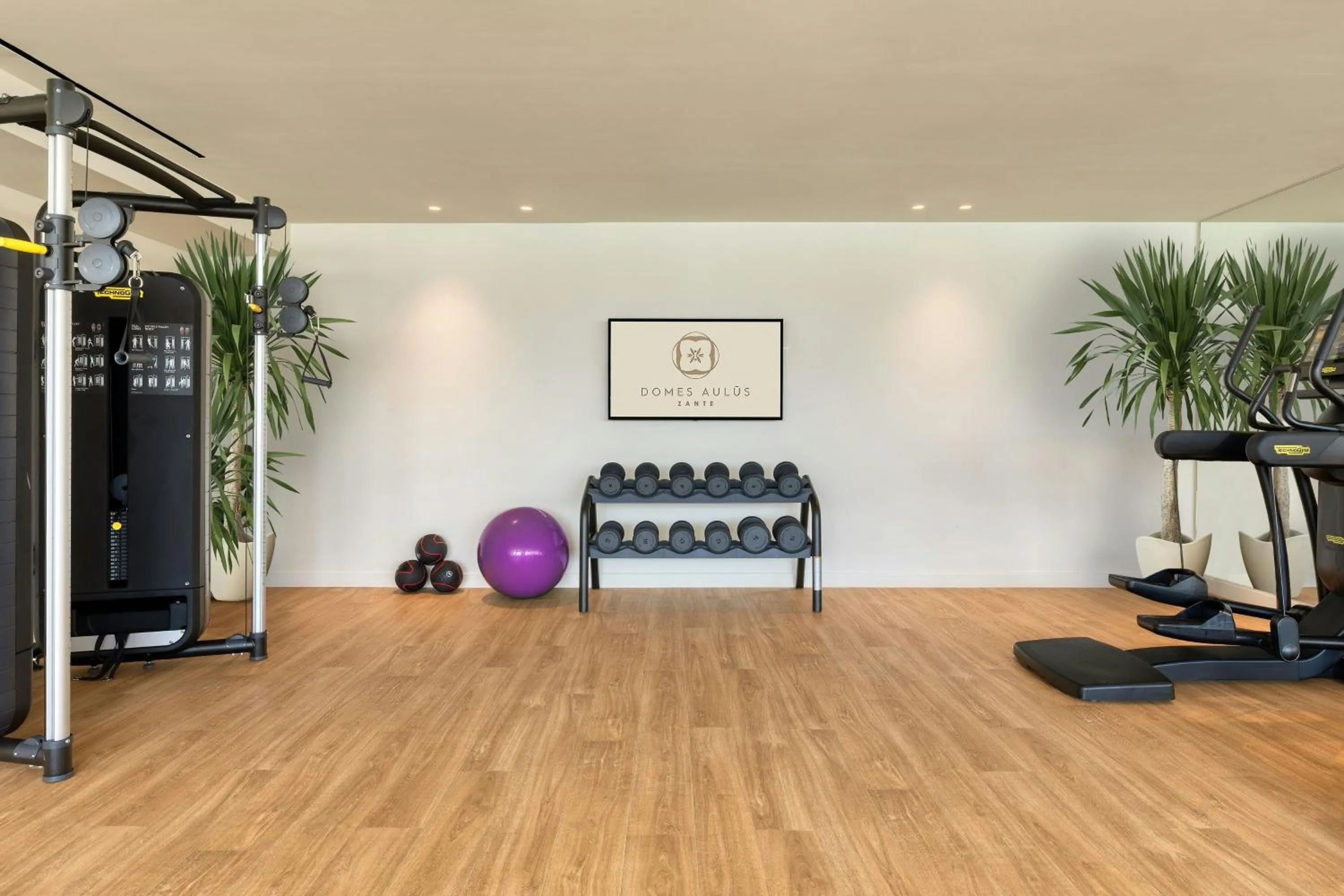 Fitness centre/facilities in Domes Aulūs Zante, All Inclusive, Autograph Collection