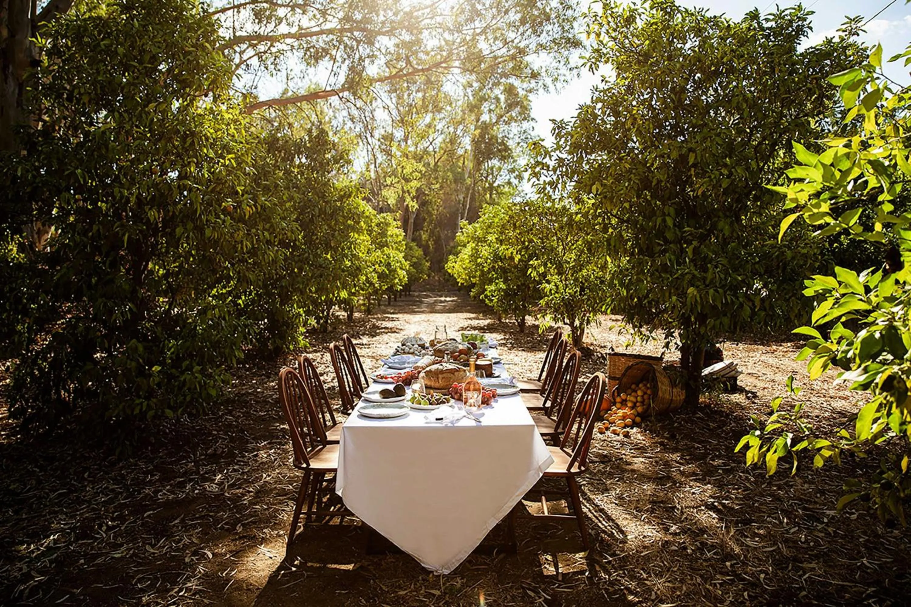 Restaurant/places to eat in Domes Aulūs Zante, All Inclusive, Autograph Collection