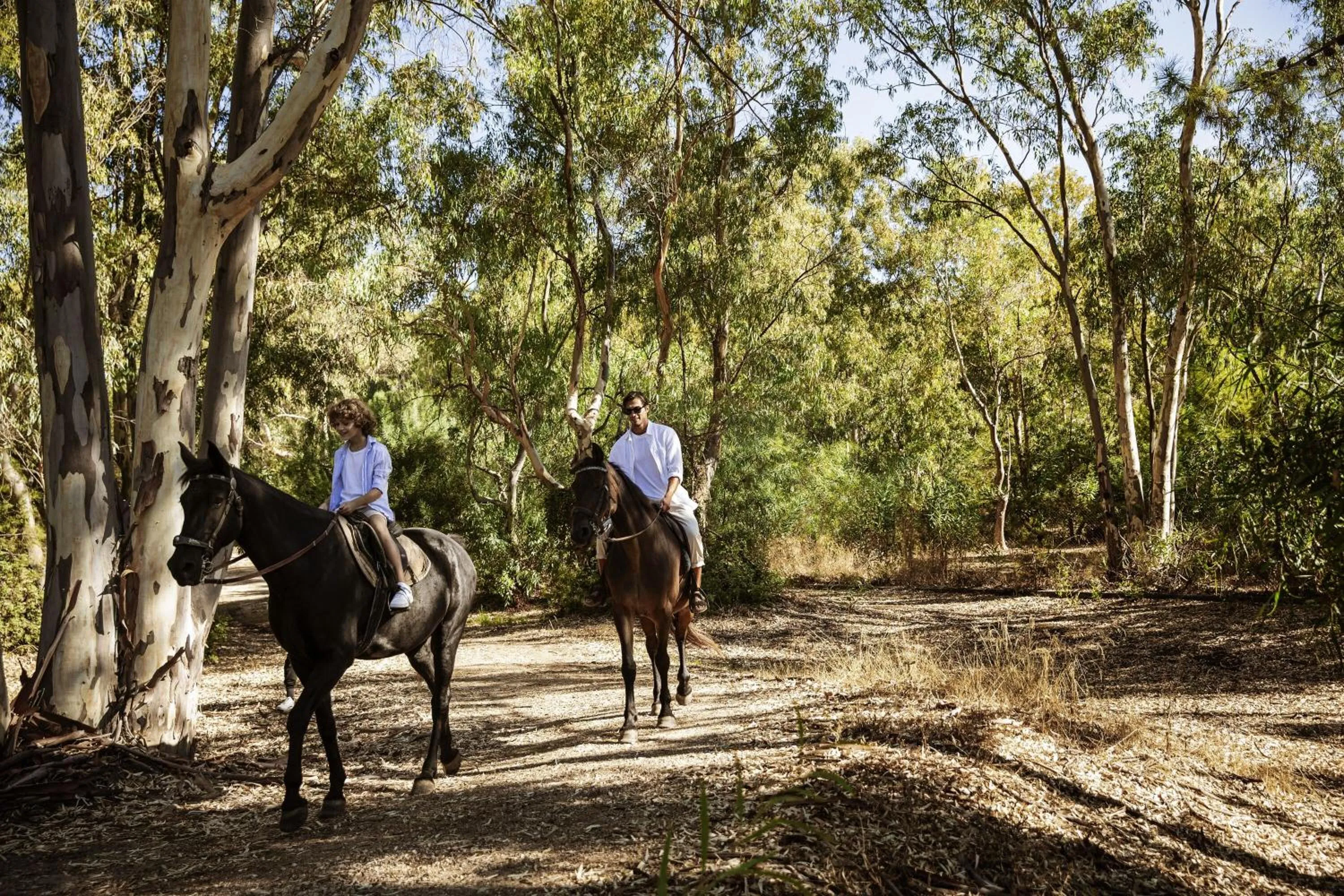 Horse-riding in Domes Aulūs Zante, All Inclusive, Autograph Collection