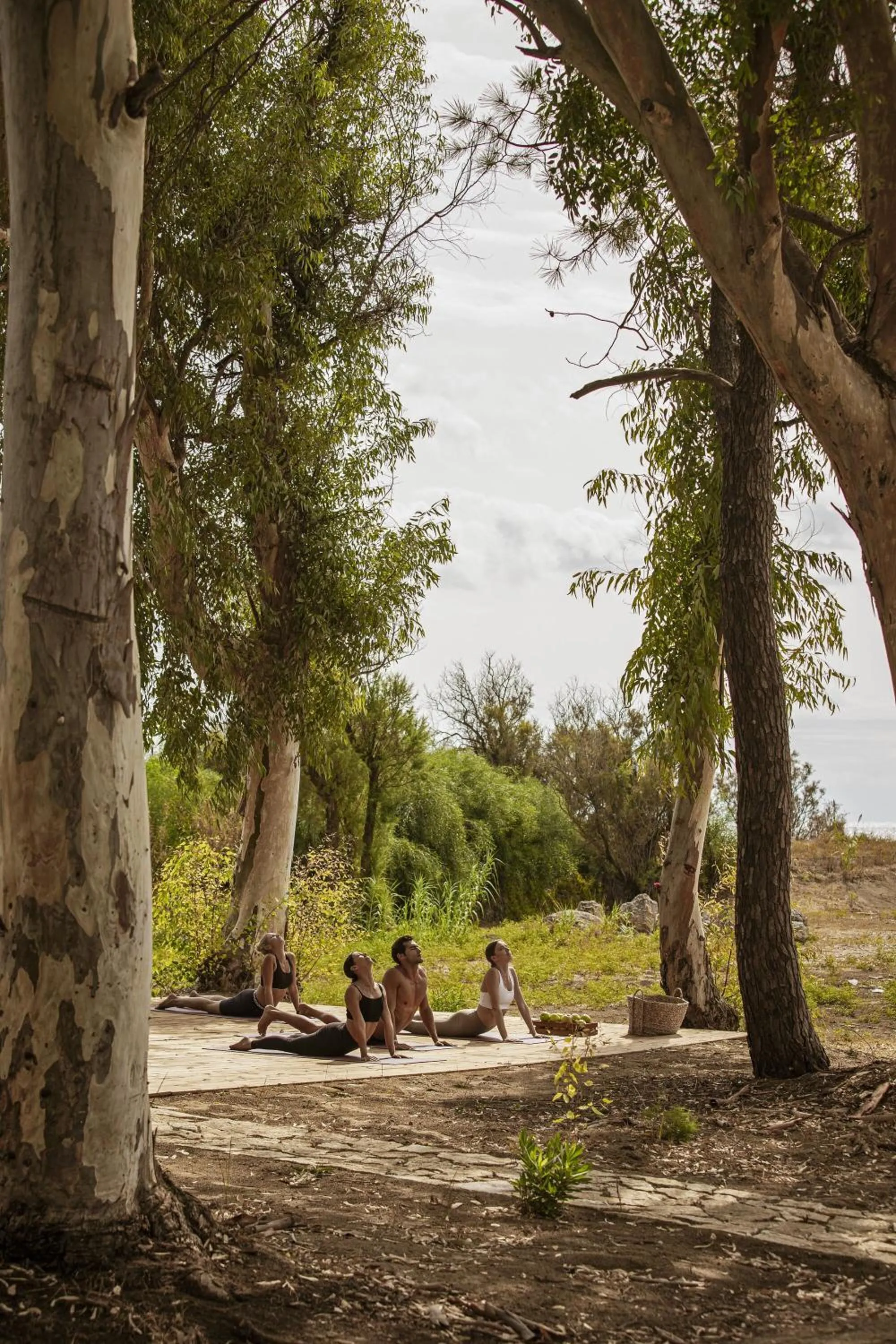 Fitness centre/facilities in Domes Aulūs Zante, All Inclusive, Autograph Collection