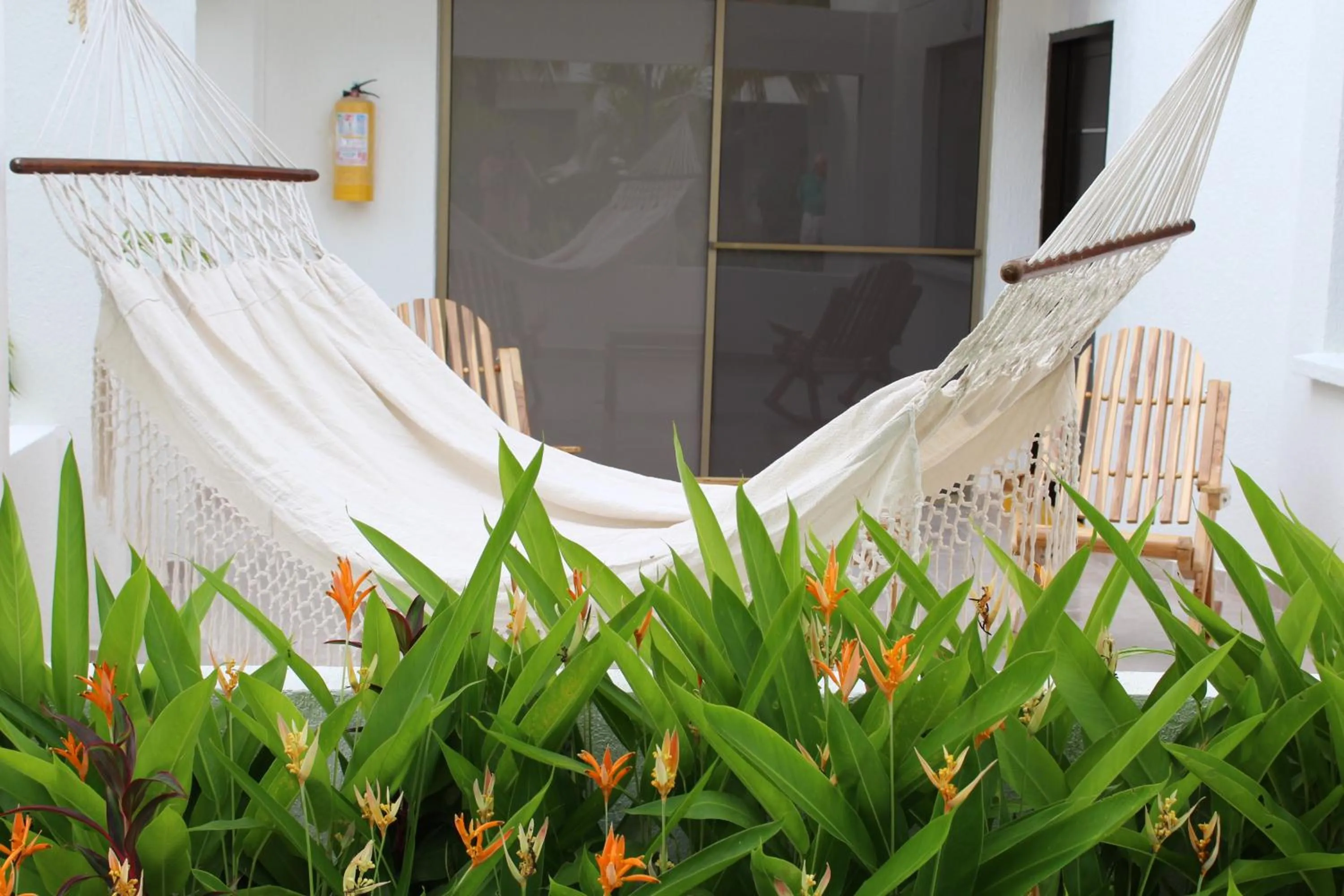 Garden view in VAIA HOTELES