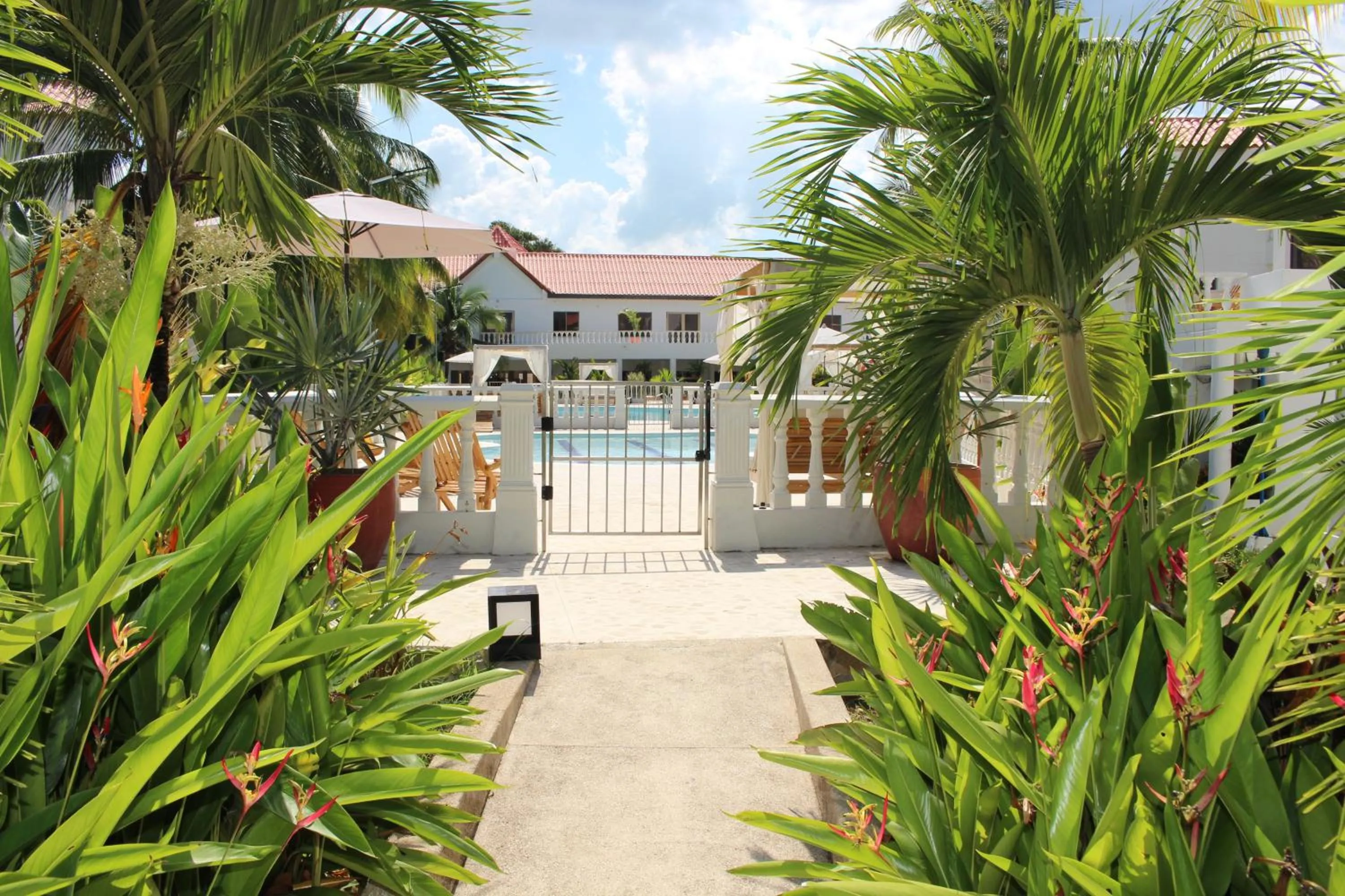 Pool view in VAIA HOTELES