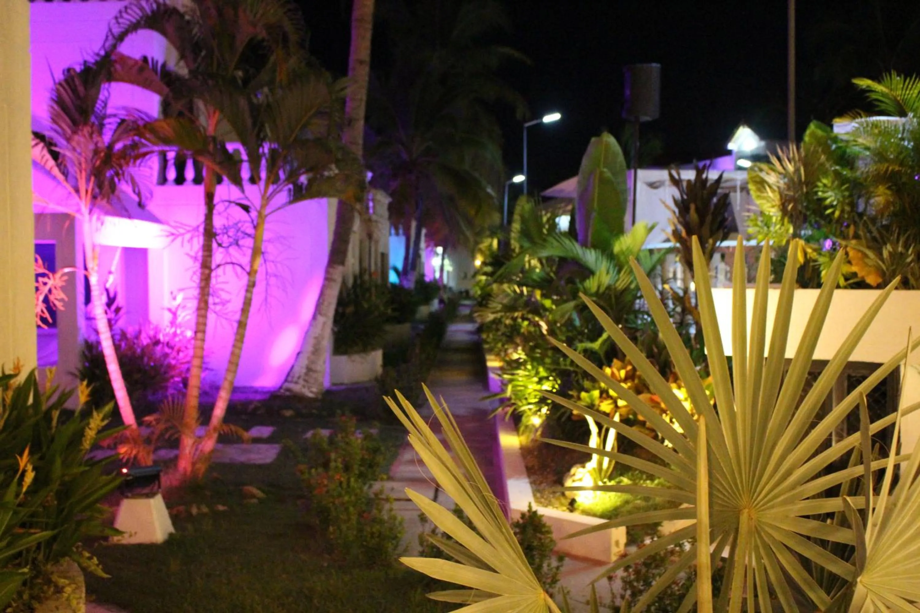 Night in VAIA HOTELES