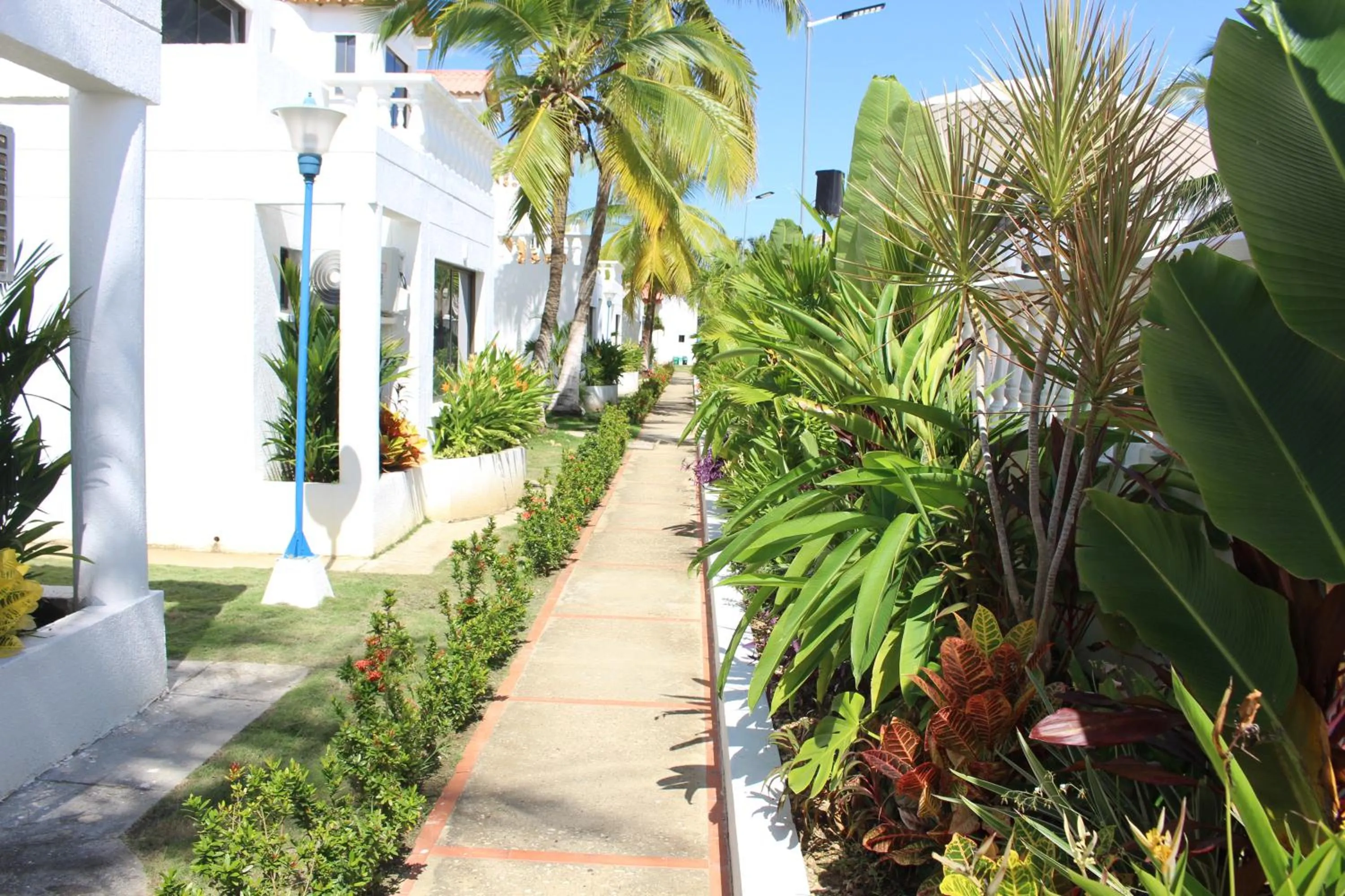 Garden in VAIA HOTELES