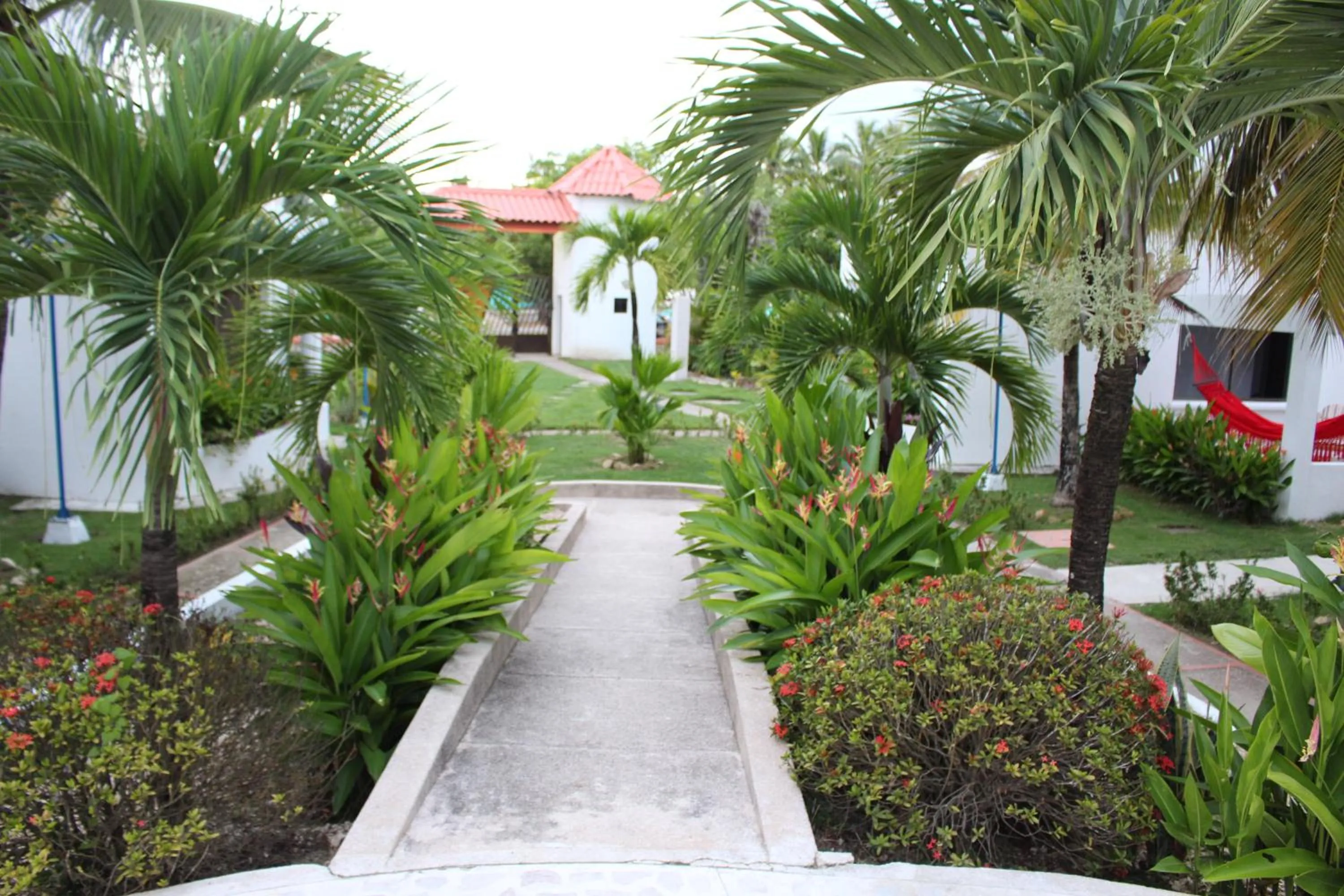 Property building in VAIA HOTELES