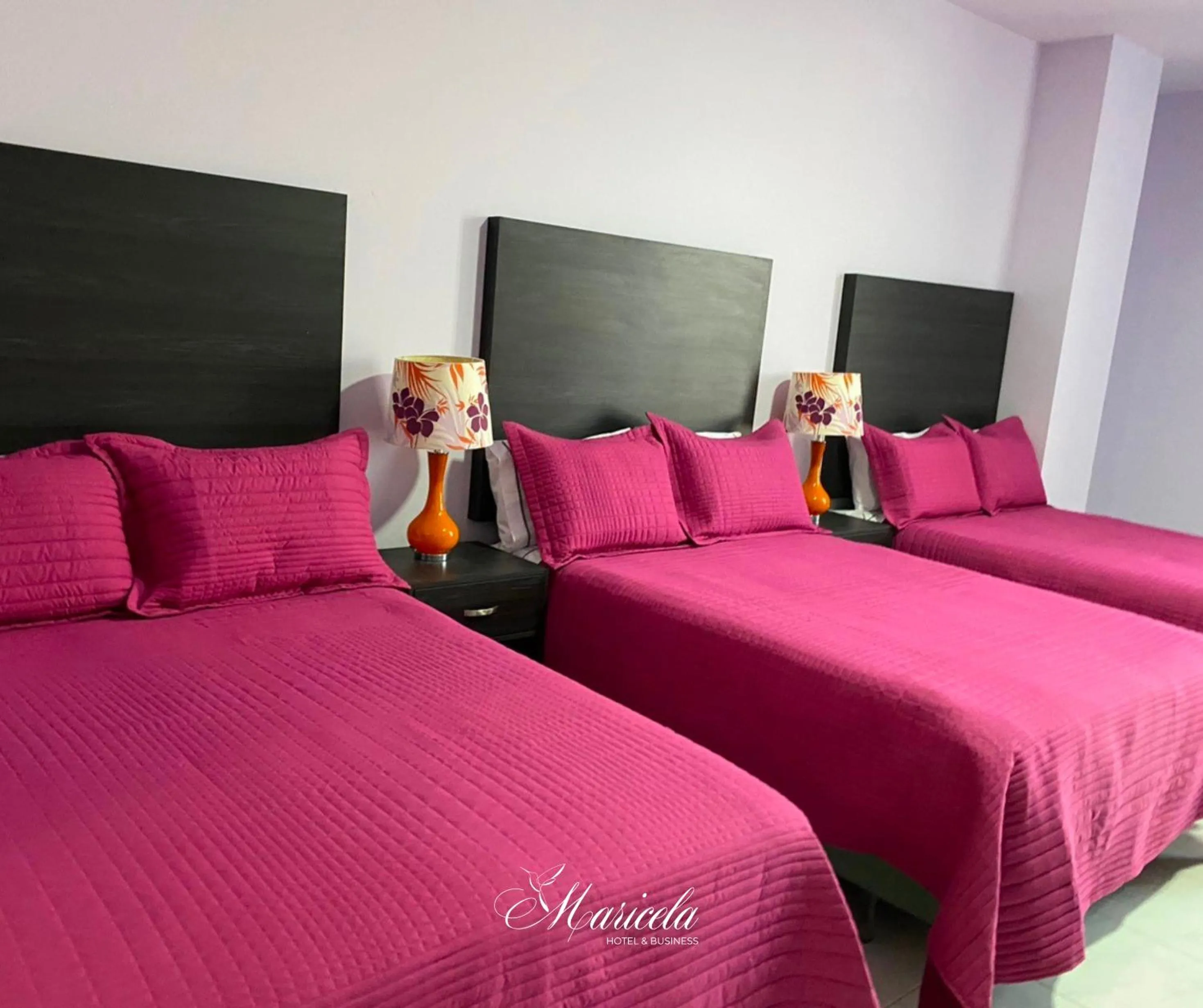 TV and multimedia, Bed in Hotel Maricela