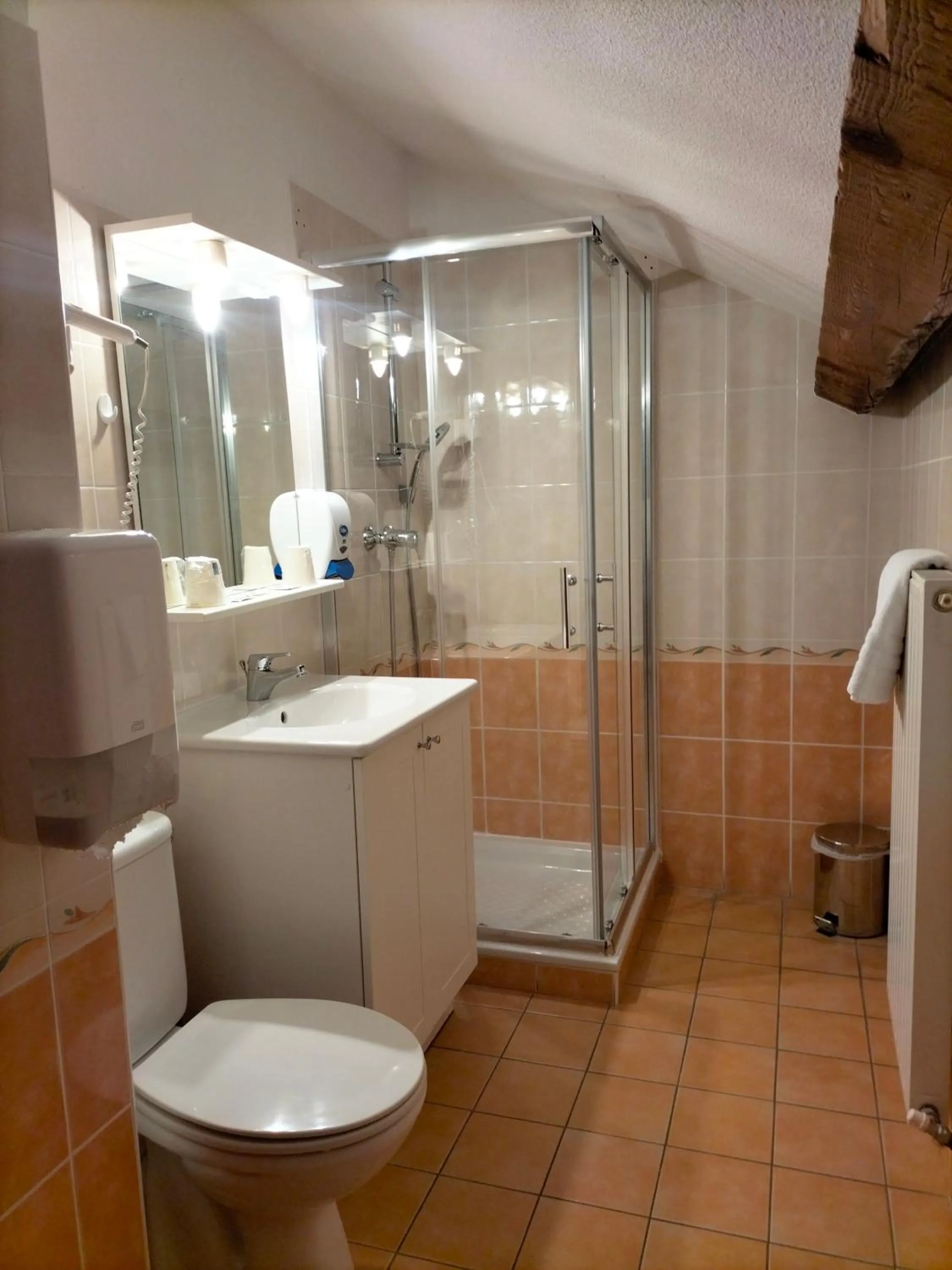 Bathroom in Auberge La maison de Catherine
