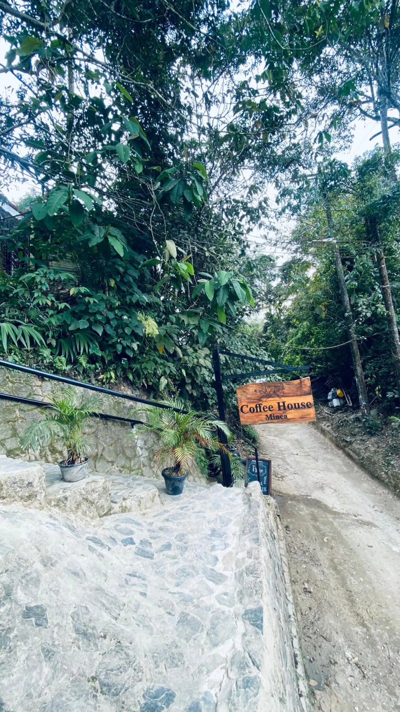 Day in Coffee House Minca