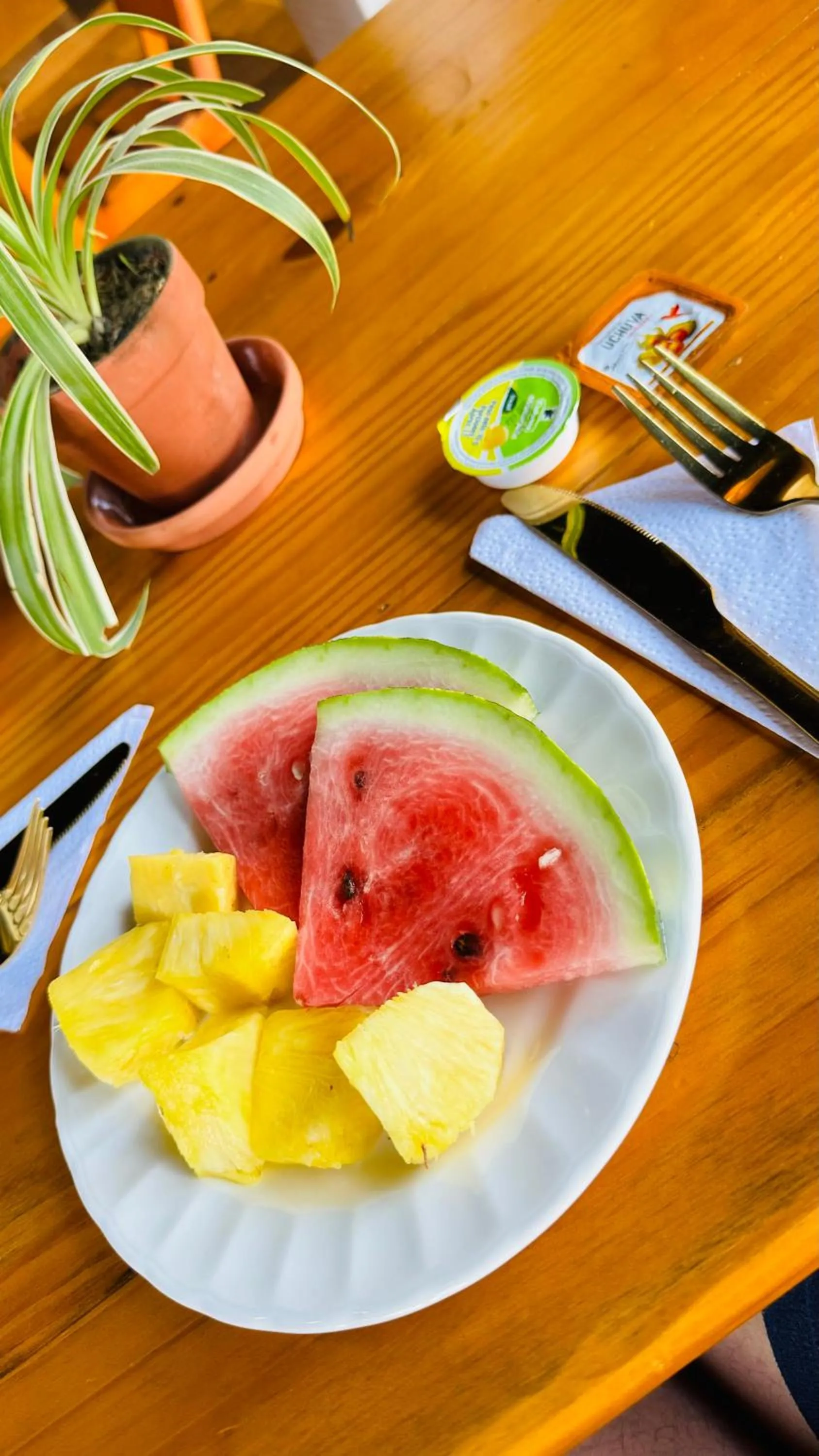 Restaurant/places to eat in Coffee House Minca