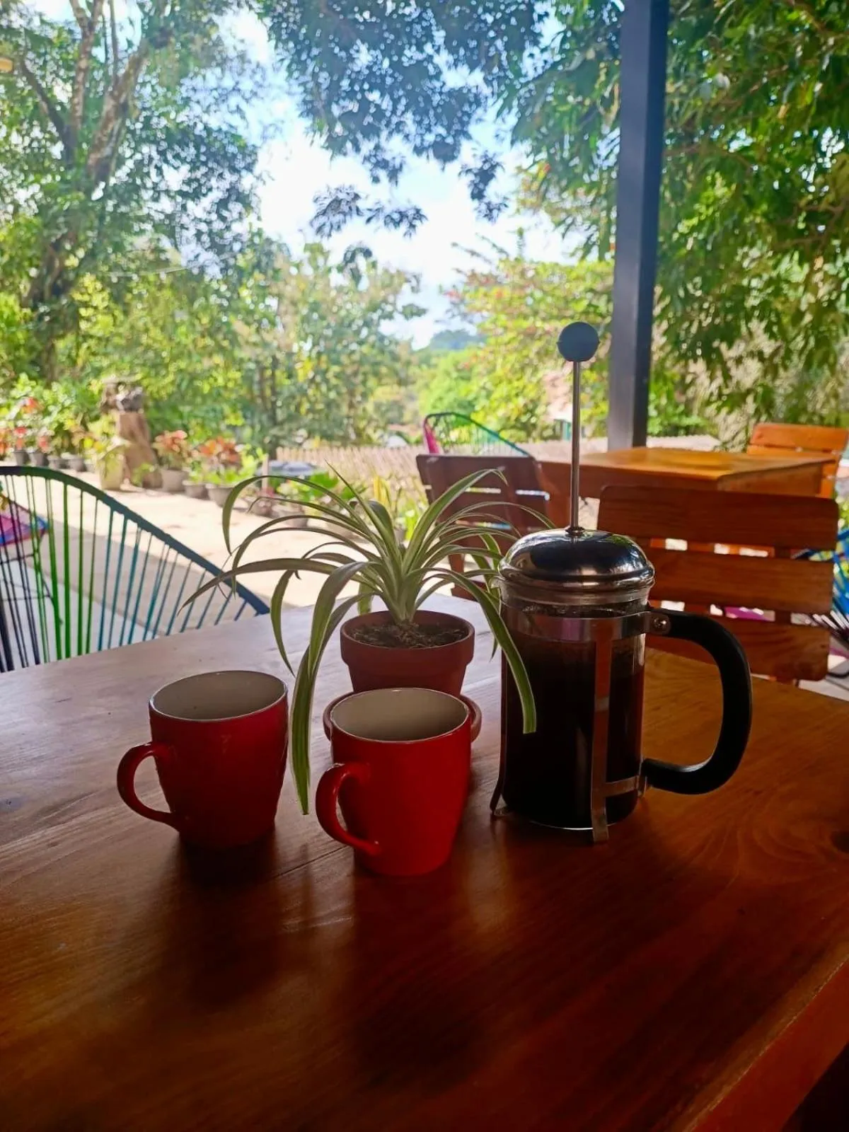 Patio in Coffee House Minca