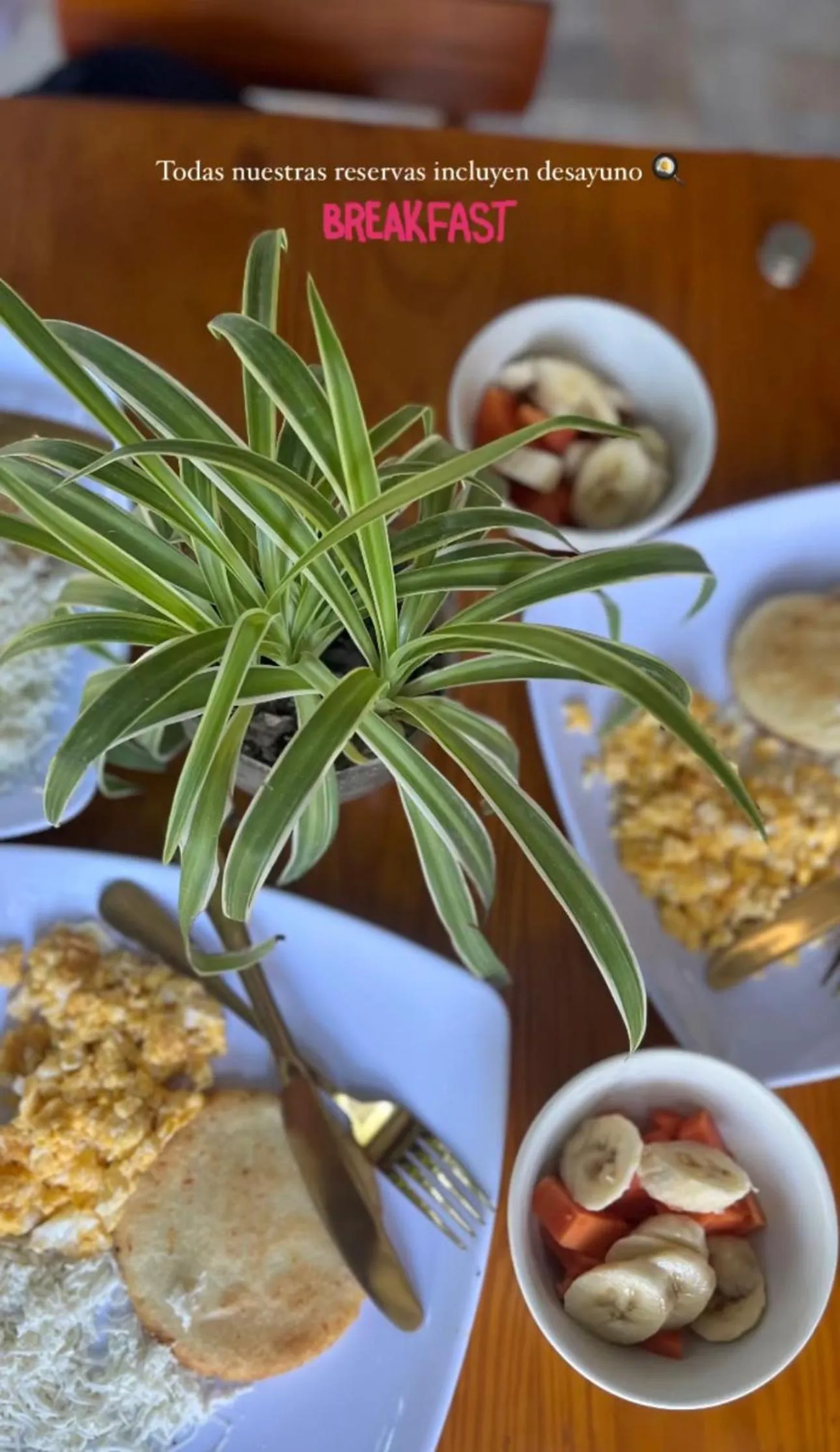 Breakfast in Coffee House Minca