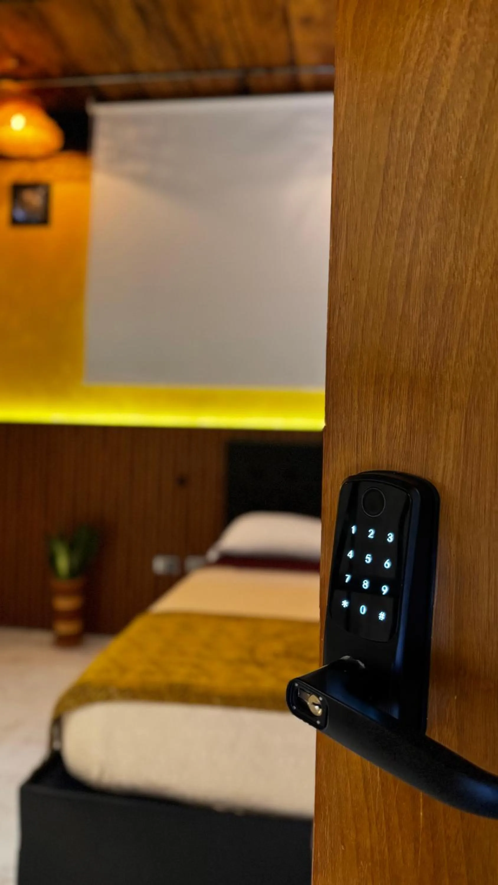 Bed in Coffee House Minca