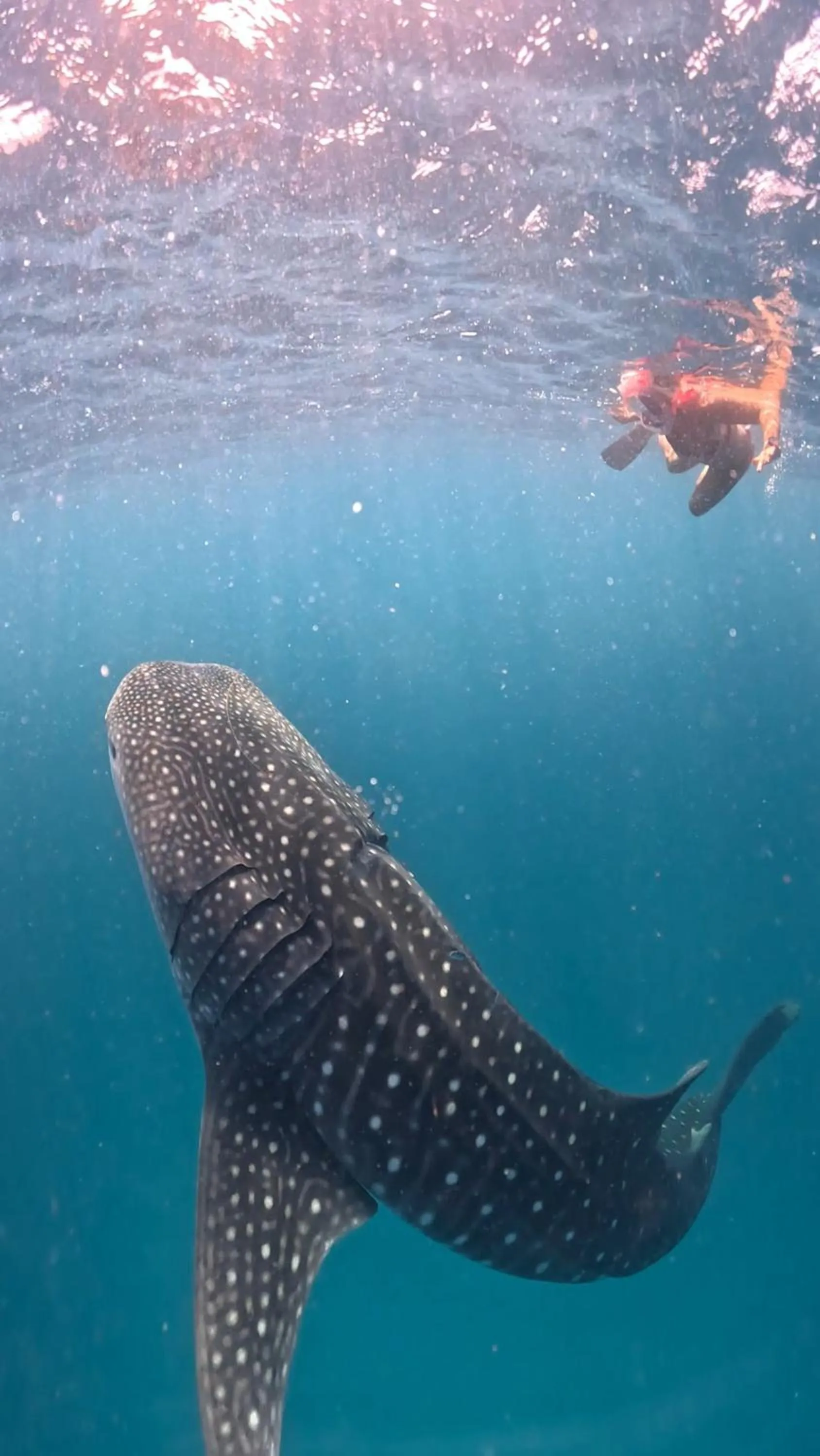 Dhigurah Dhonveli Boutique