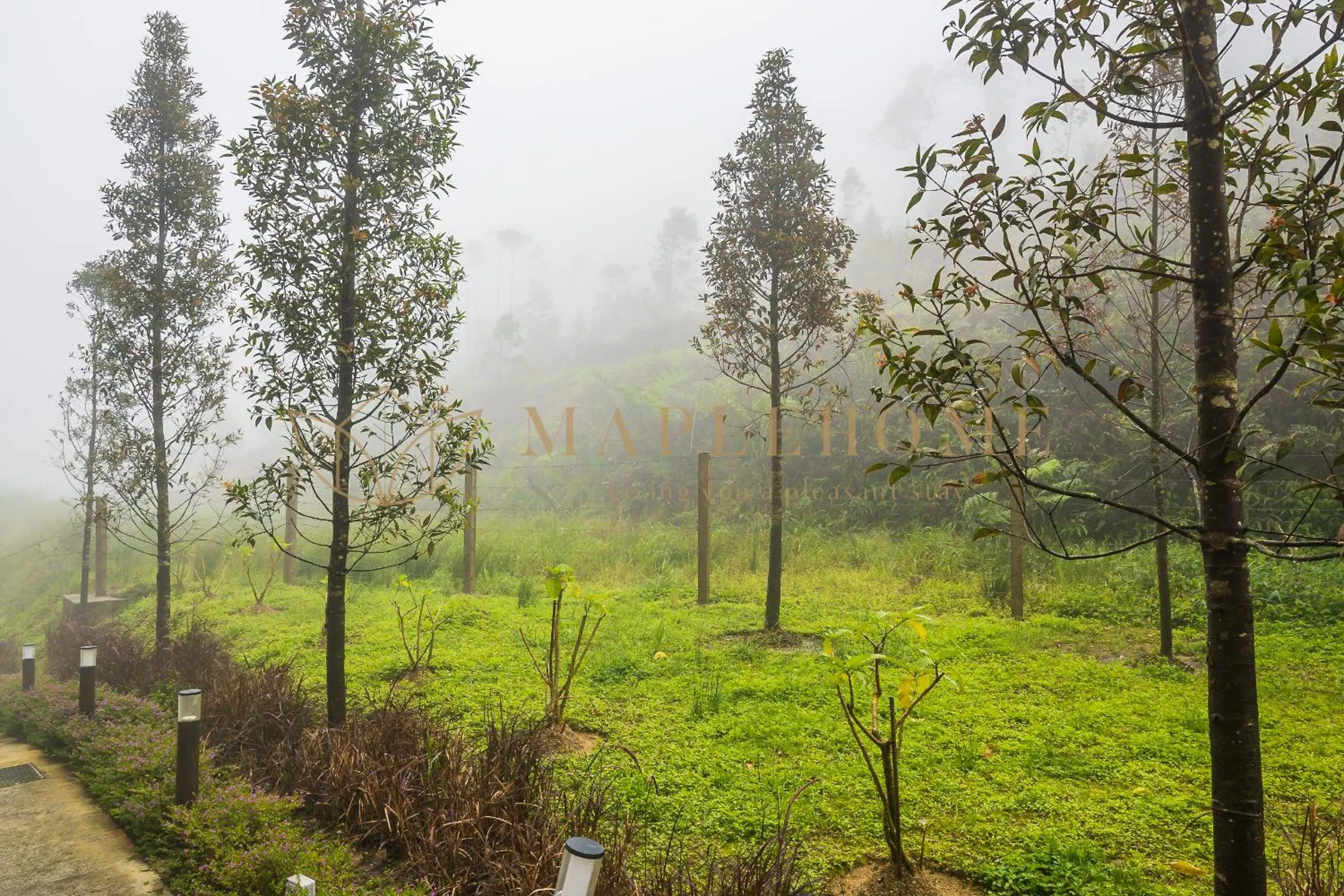 Natural landscape in Ion Delemon Premier Suites Genting Highlands