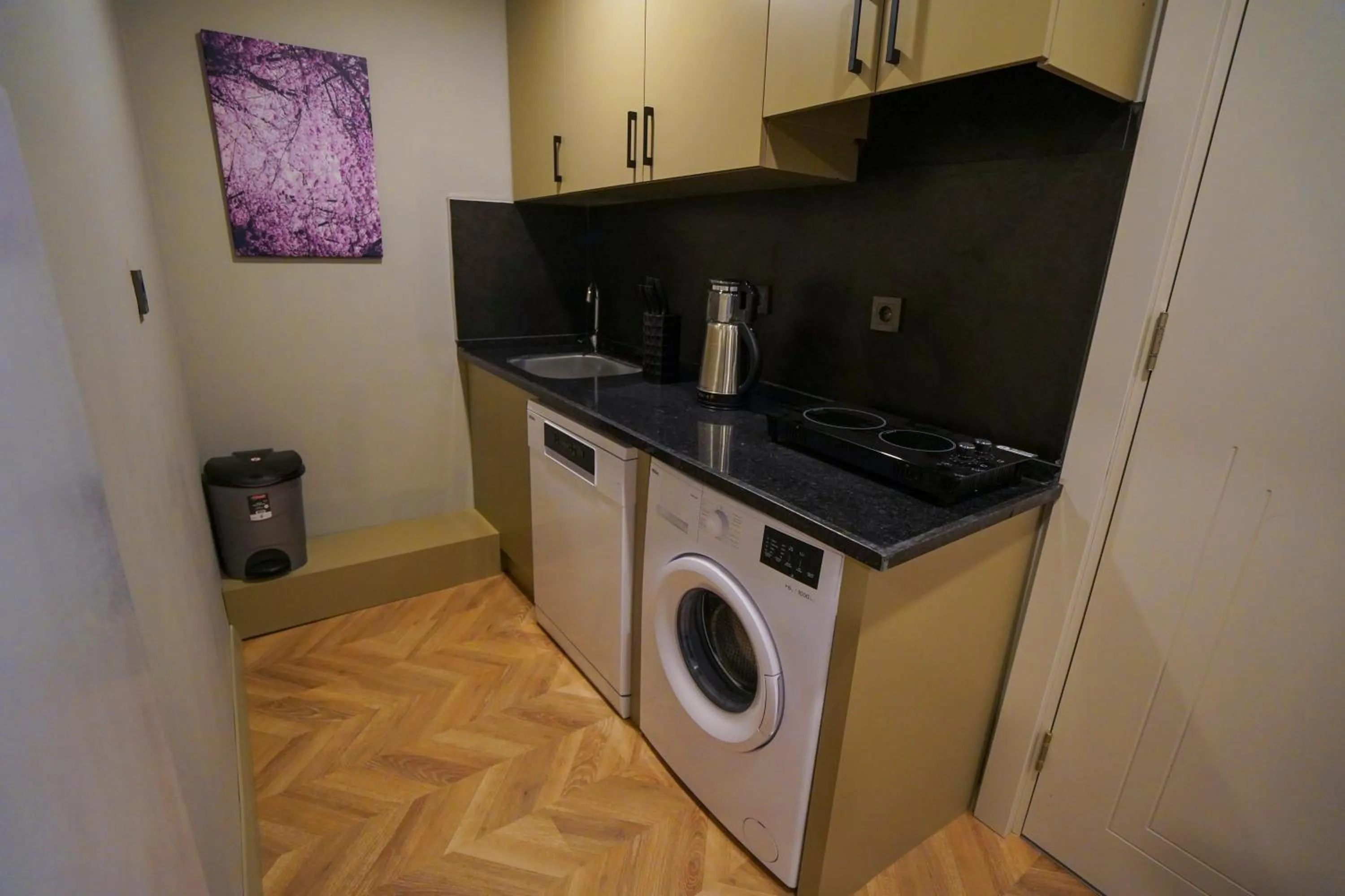 Kitchen or kitchenette in Moon Suites