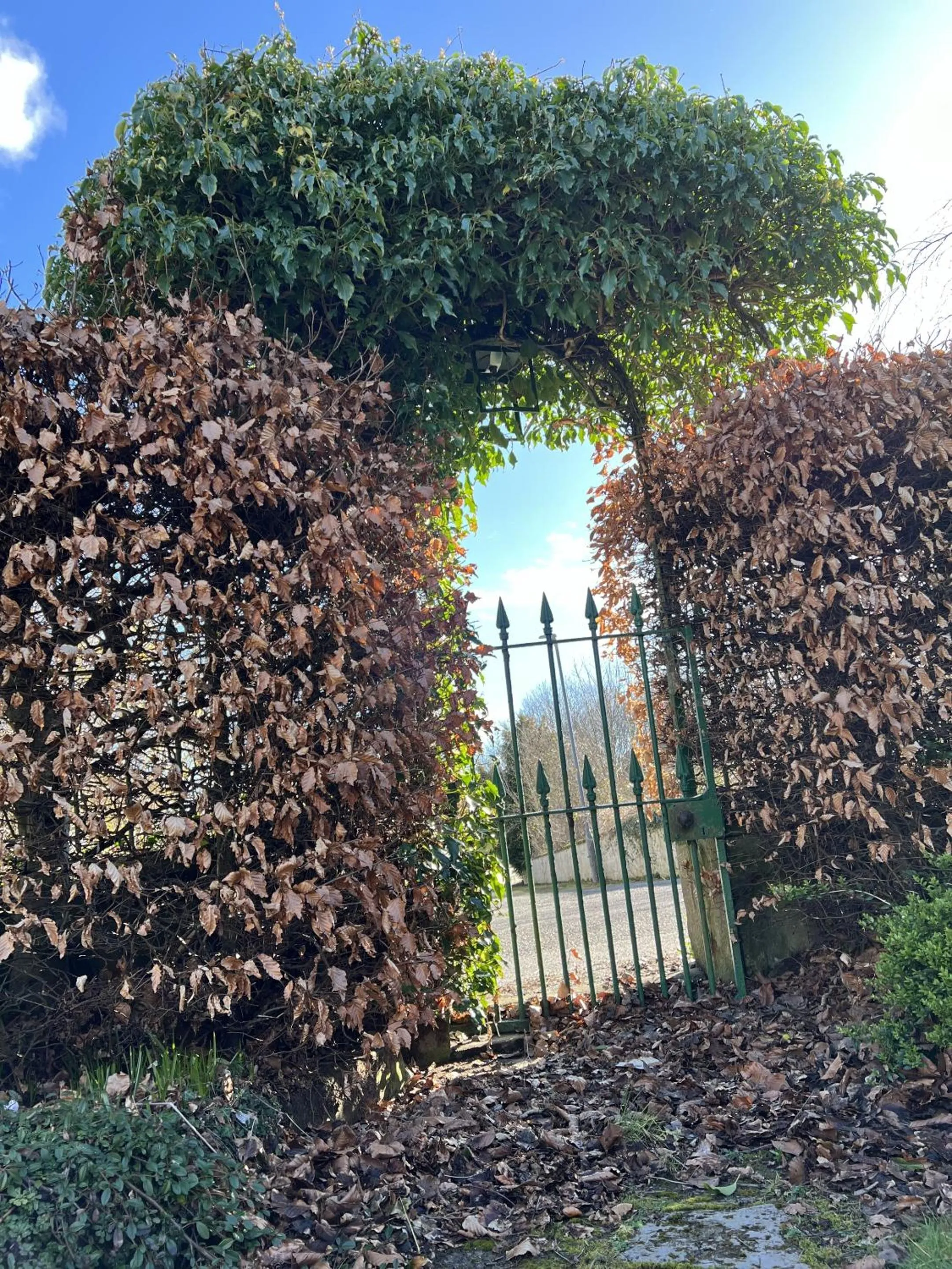 Garden in St Duthus Villa Guesthouse