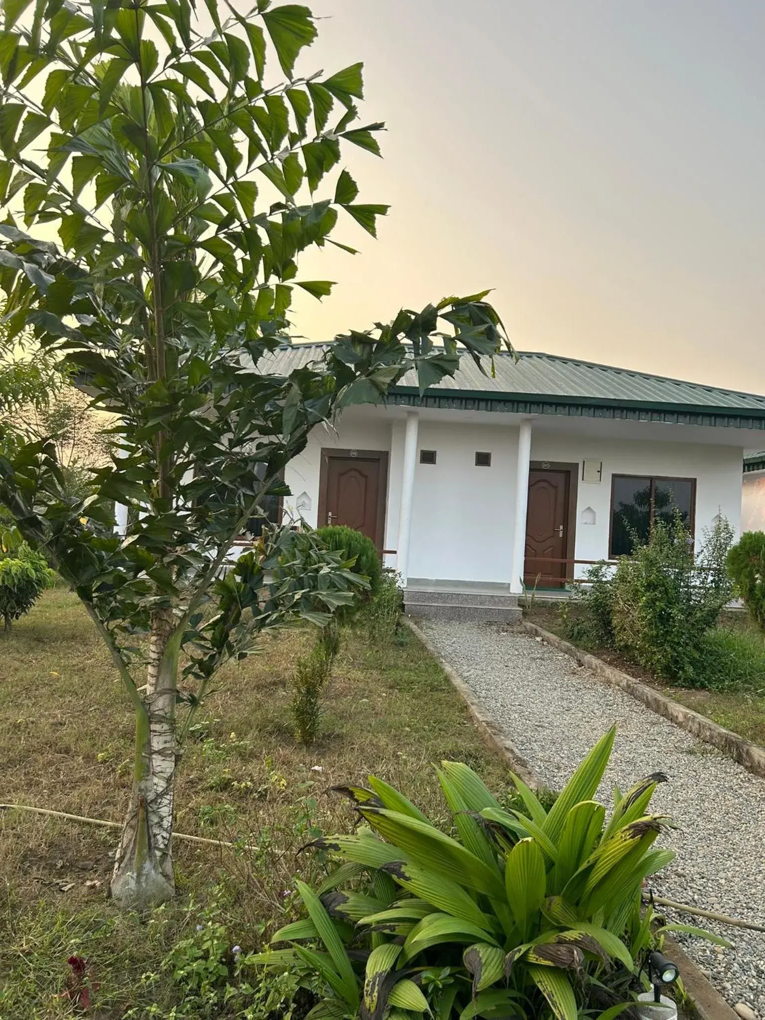 Deluxe Double Room - single occupancy in Tiger Wildlife Resort Deluxe Double Room - single occupancy in Tiger Wildlife Resort