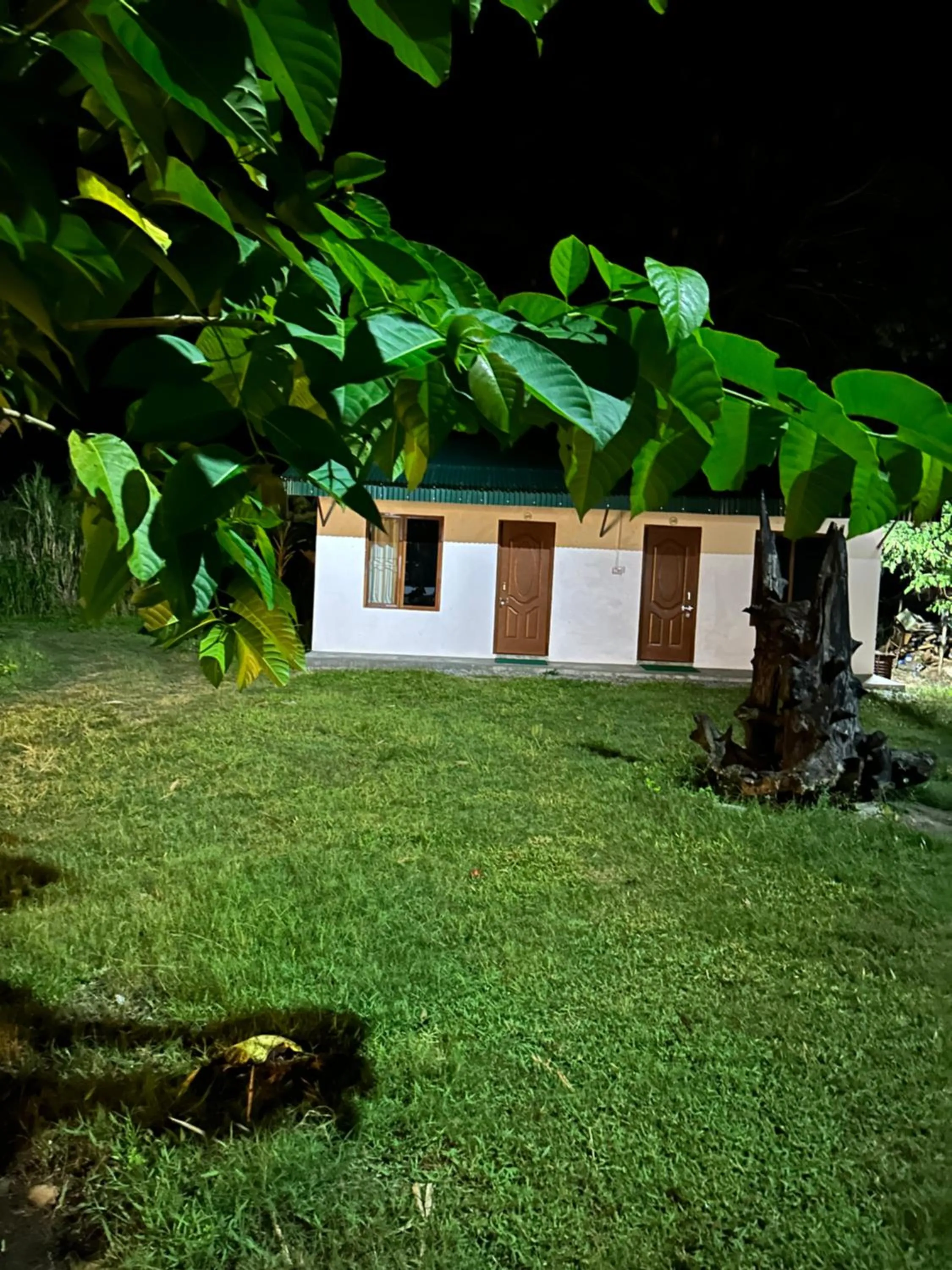 Tiger Wildlife Resort