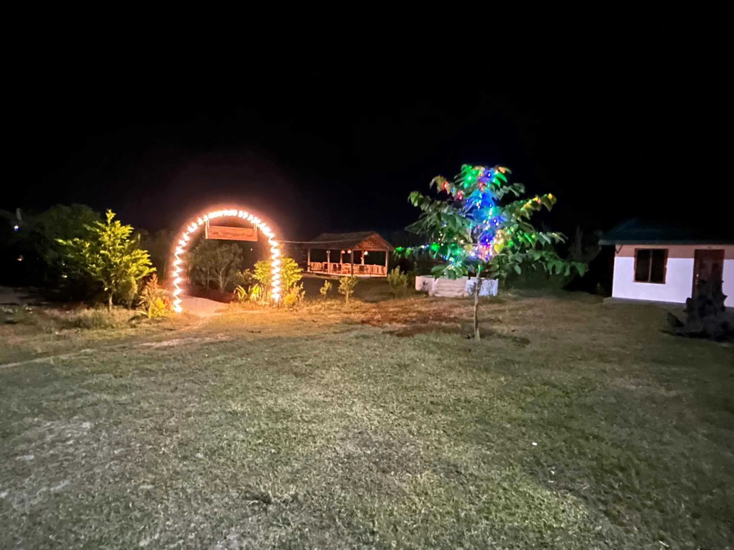 Tiger Wildlife Resort