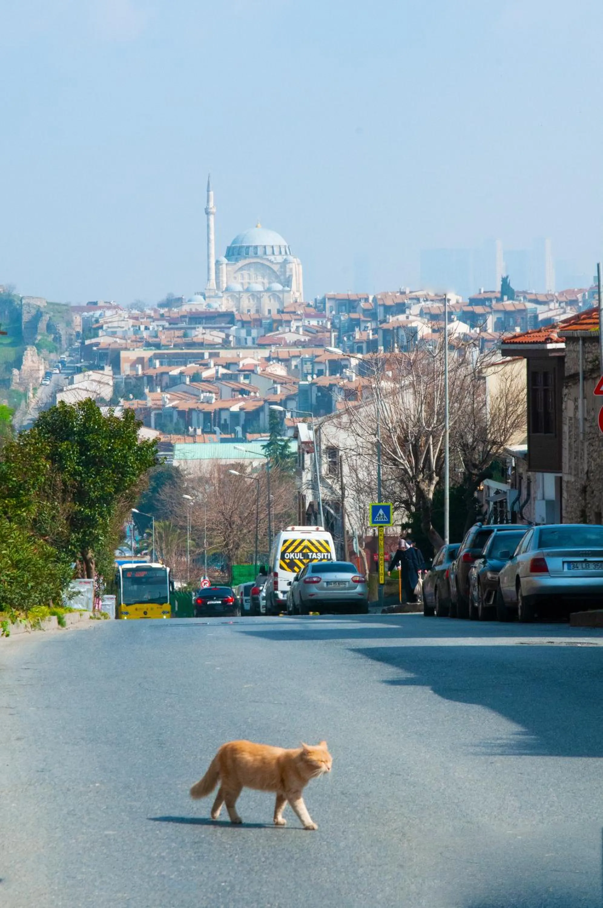 Neighbourhood in İstanbul Efes Hotel