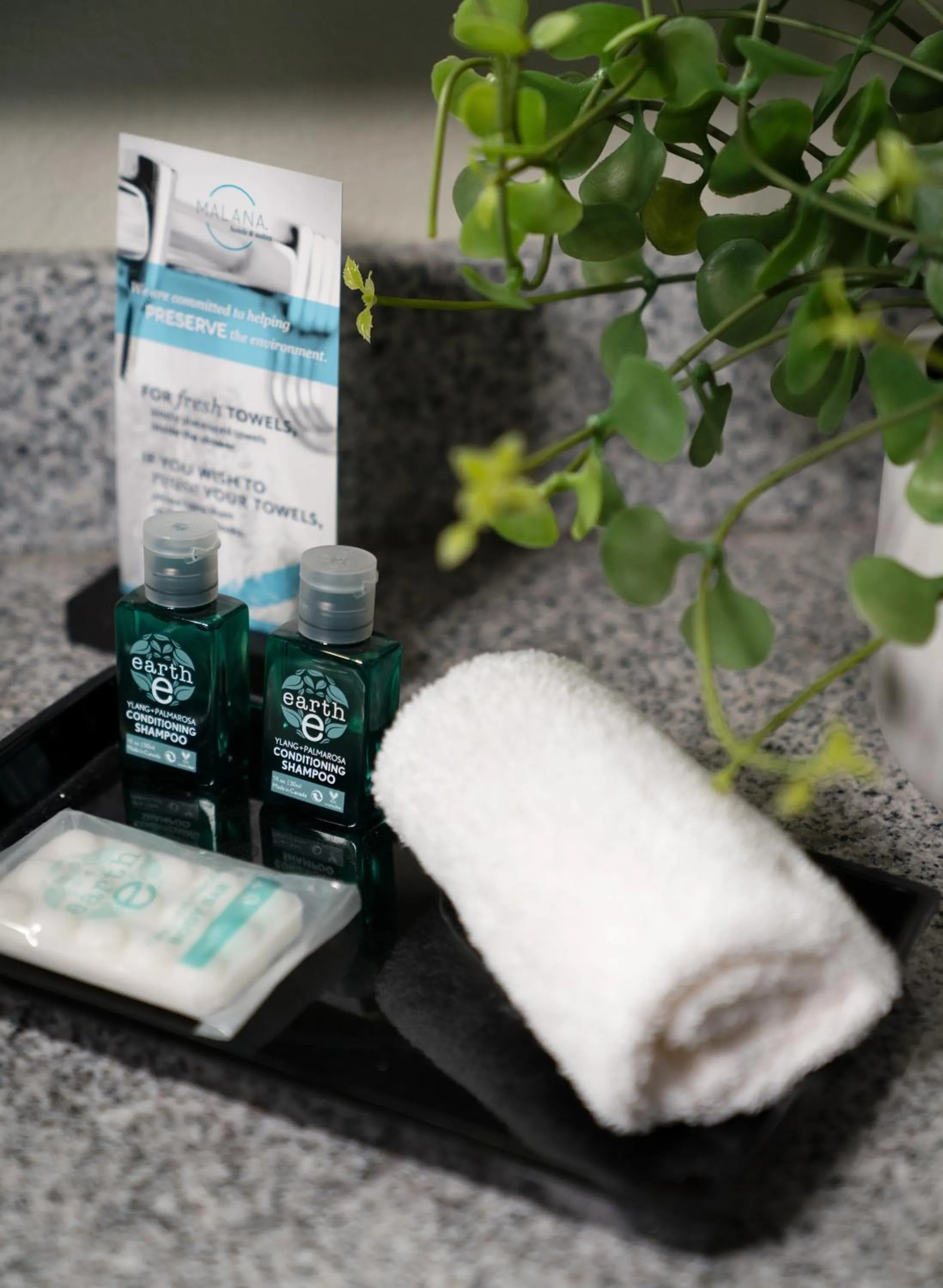 Malana Hotels & Suites