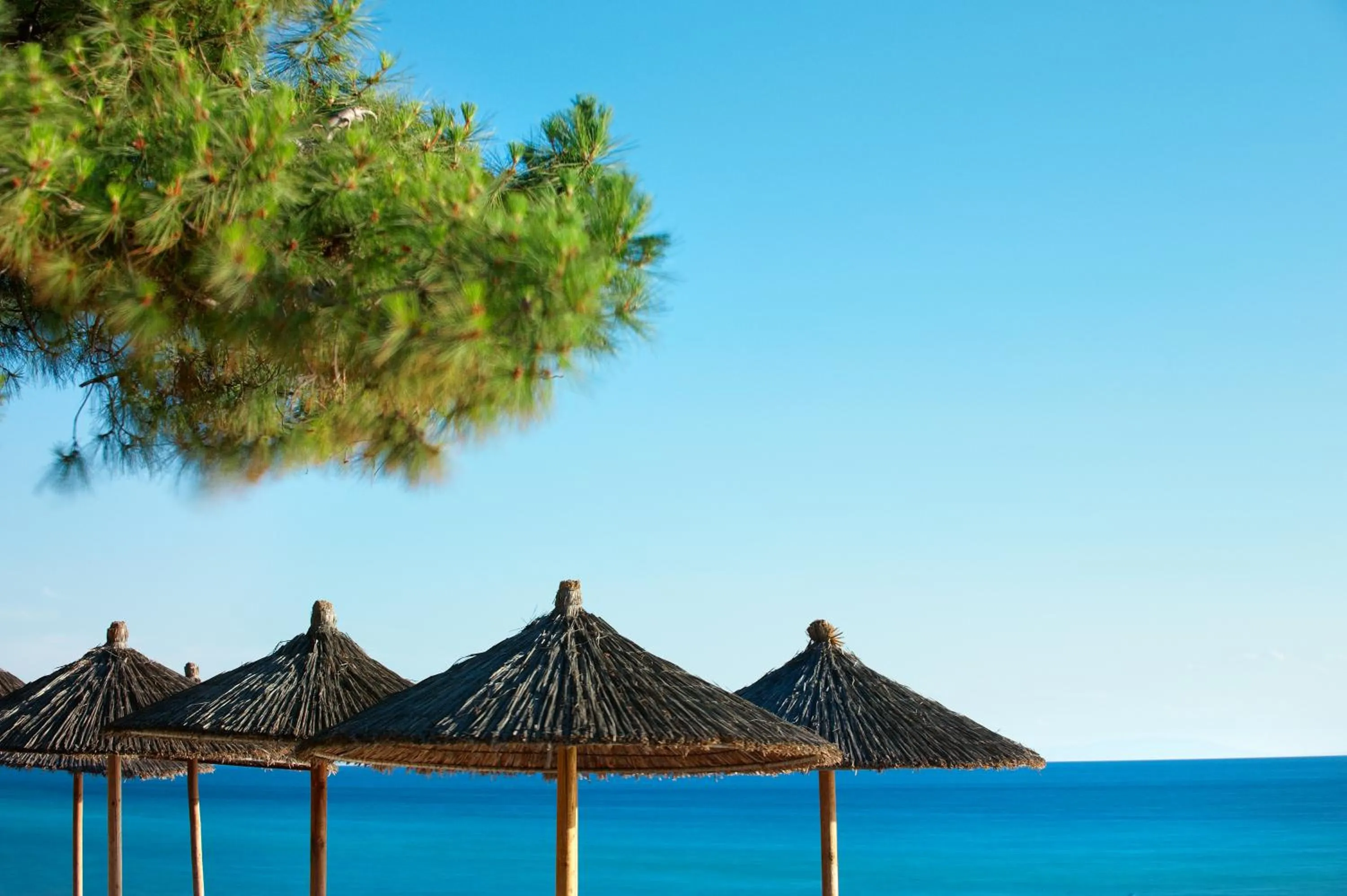 Beach in Portes Beach Hotel