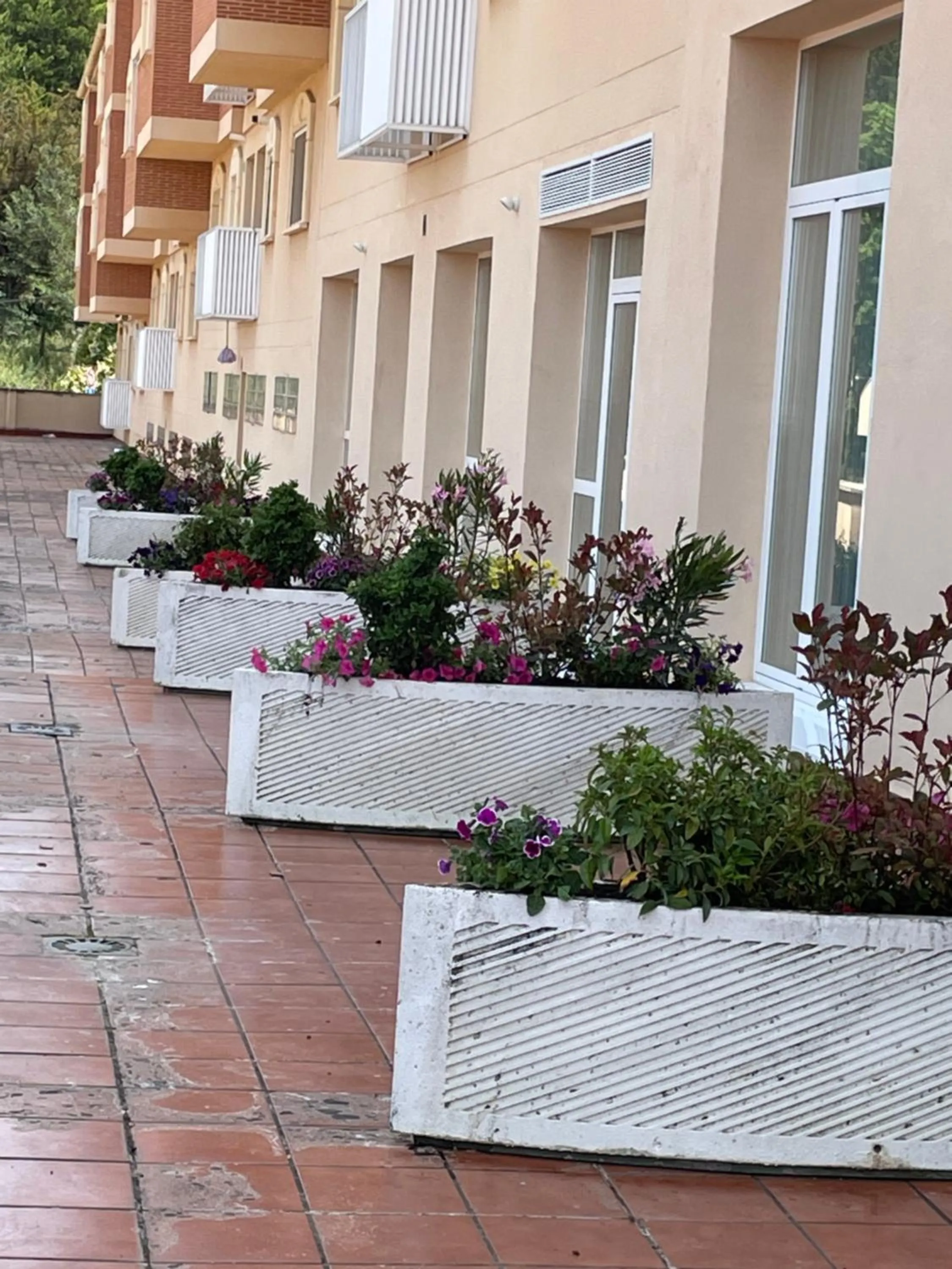 Balcony/Terrace in Aljama Burgos