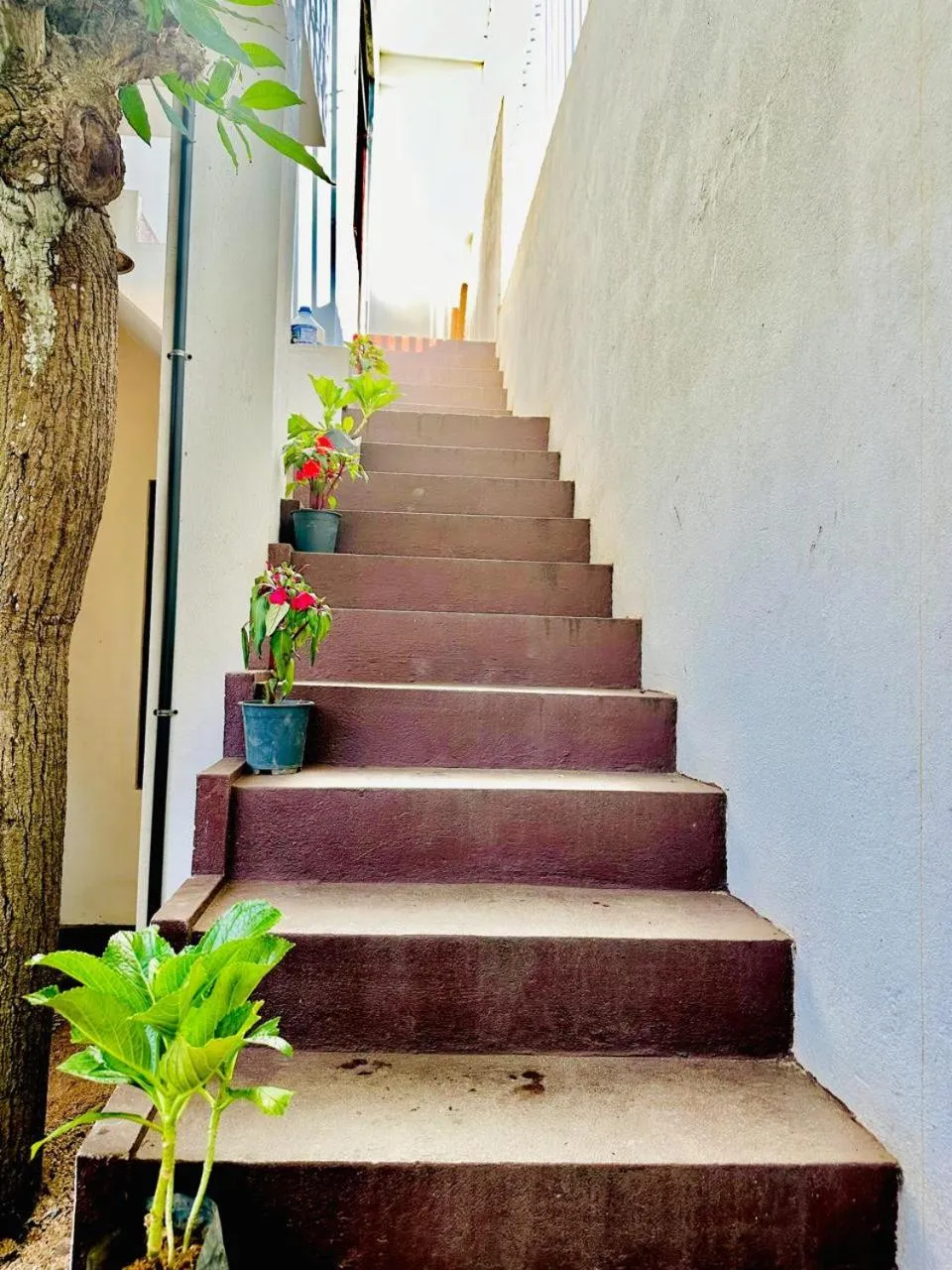 Facade/entrance in Sea Breeze Guest House Negombo