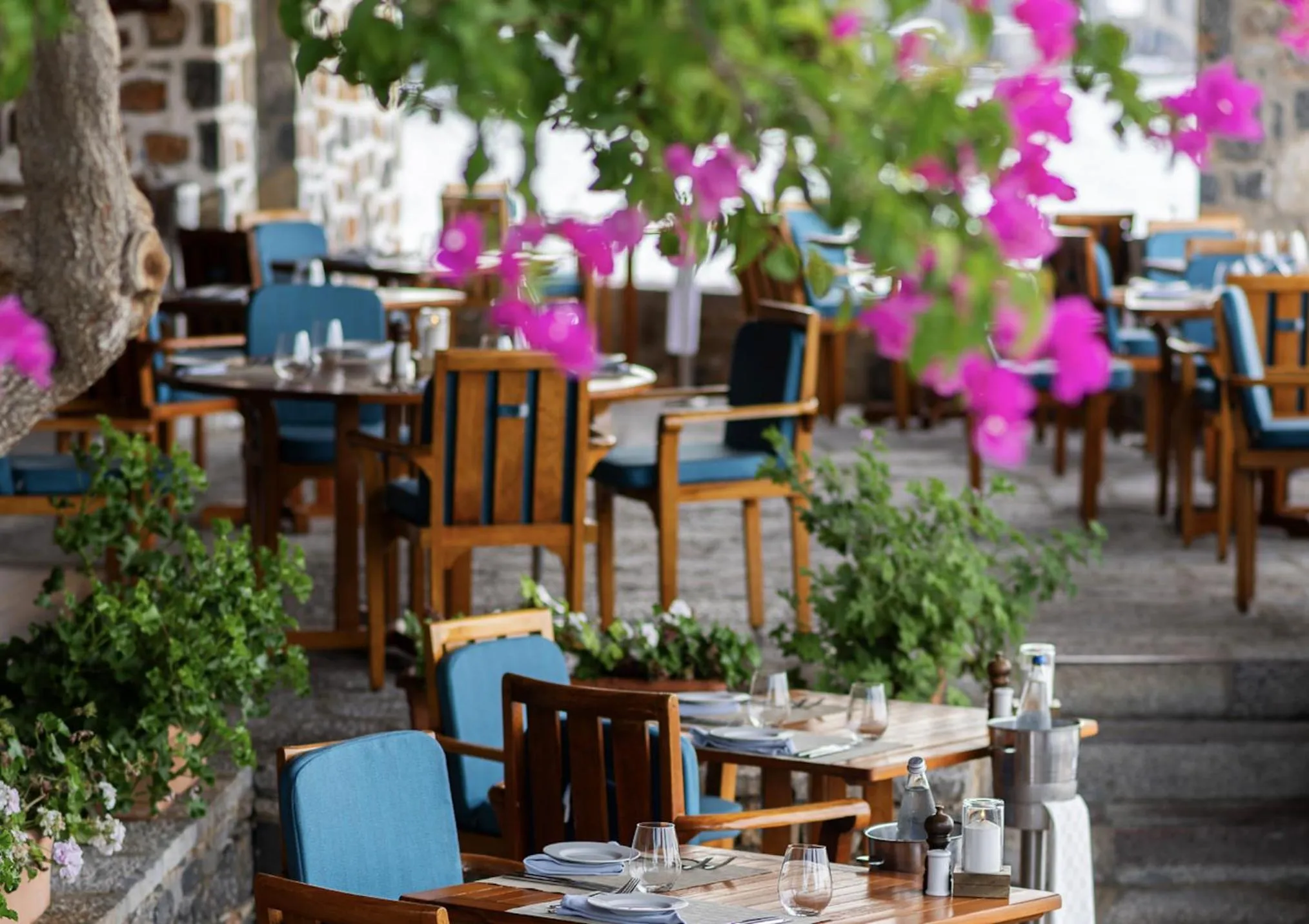 Restaurant/places to eat in Elounda Mare Relais & Châteaux Hotel