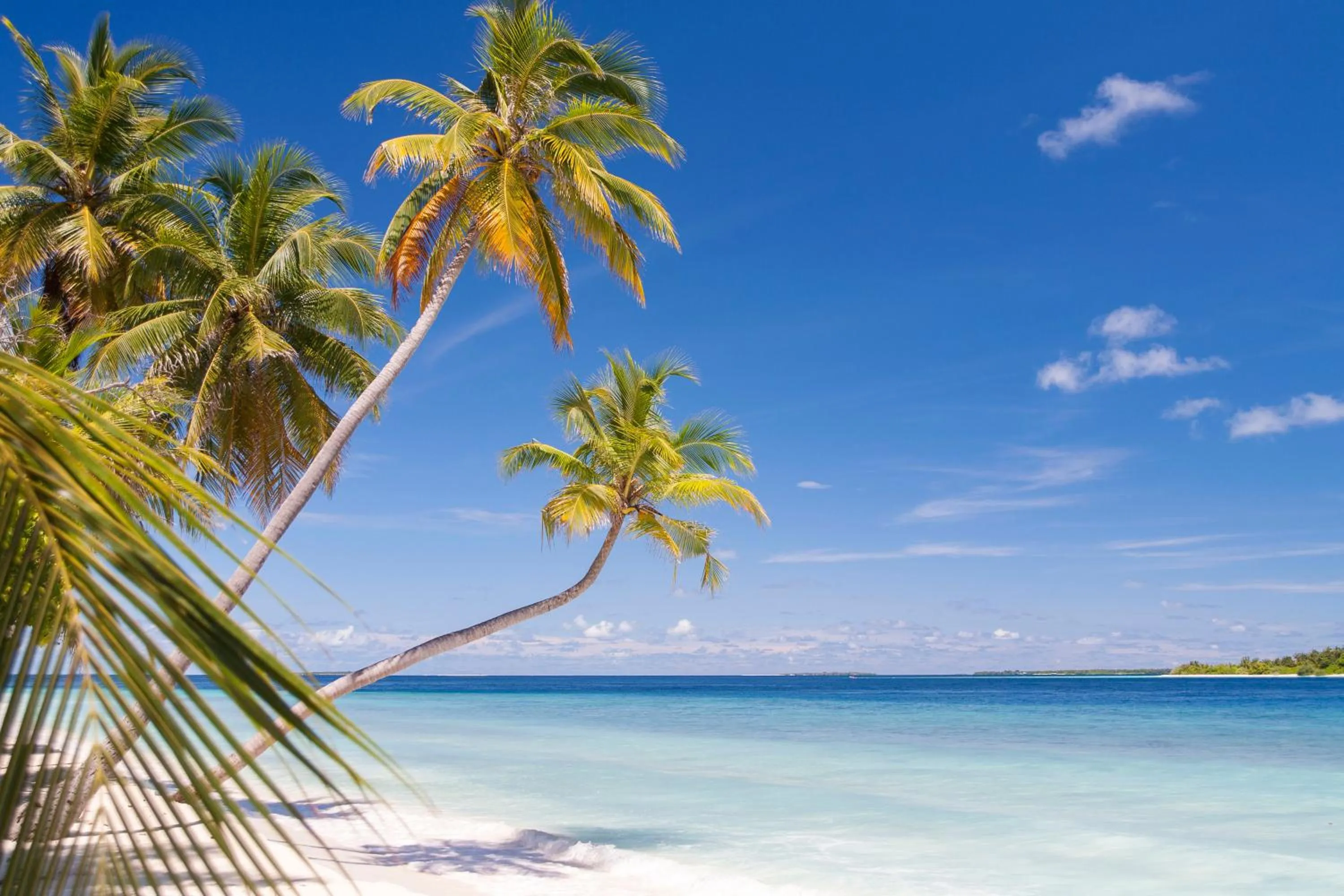 Beach in Dhonfulhafi Beach View
