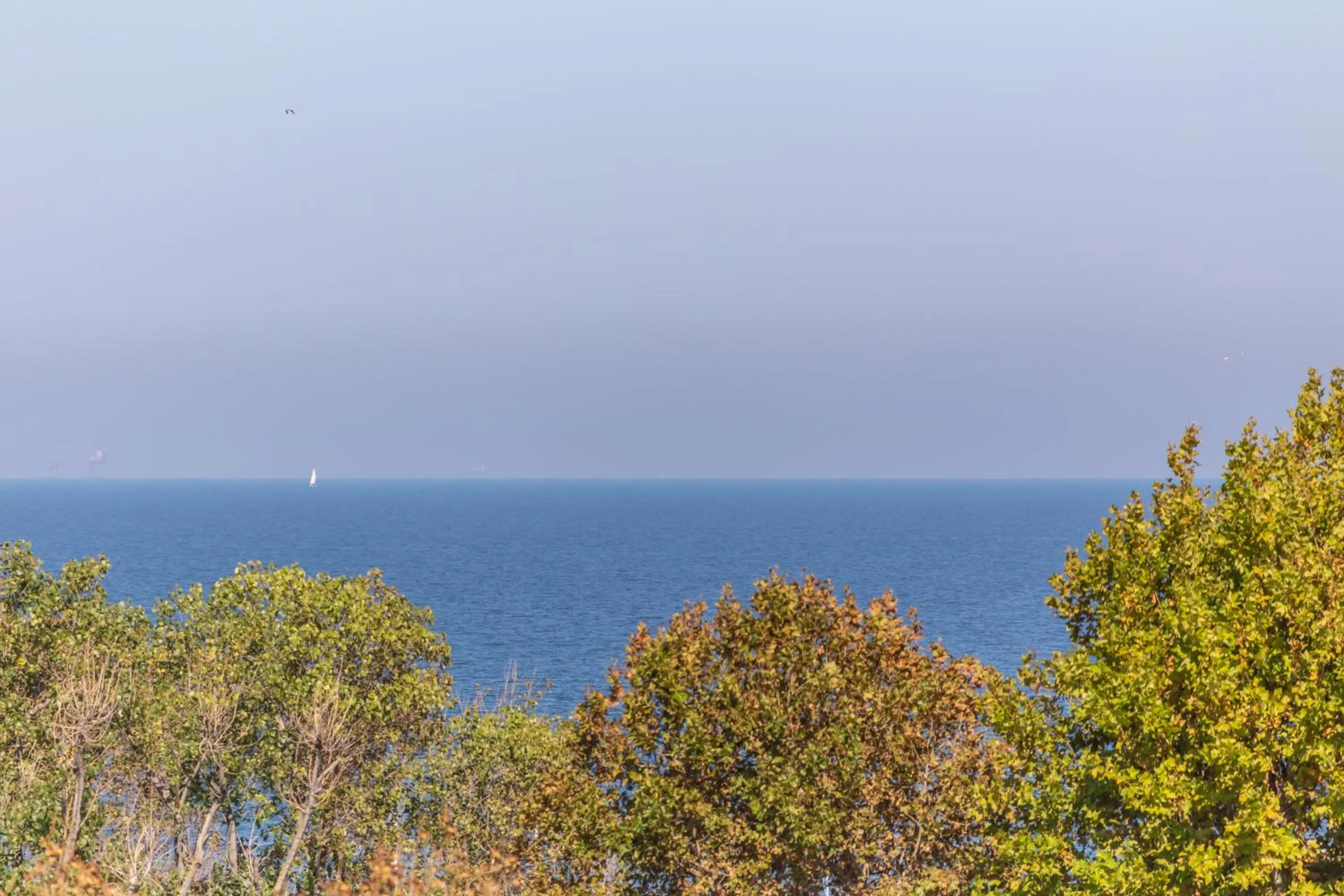 View (from property/room) in Hotel Naica