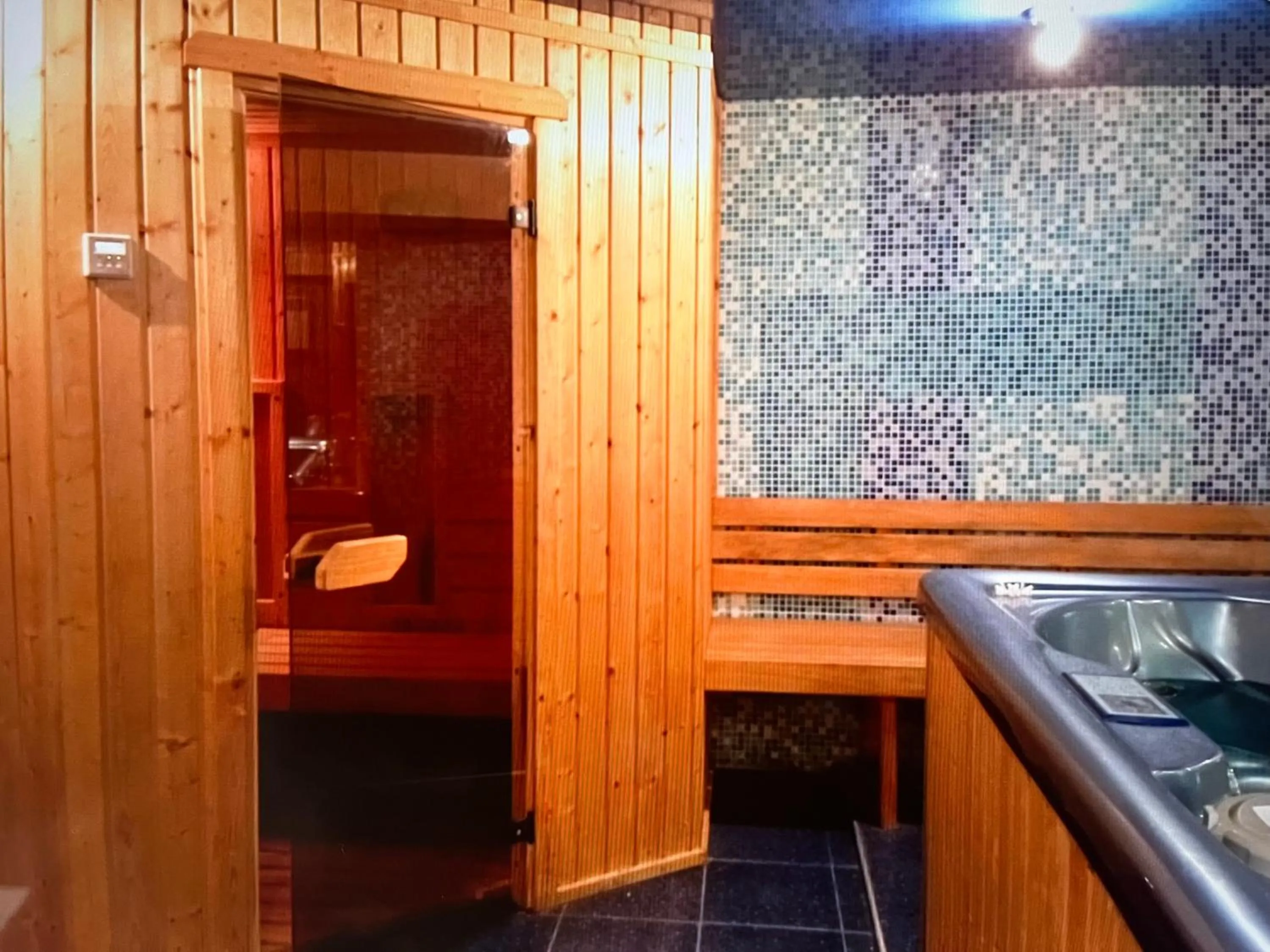 Sauna in HOTEL BOLYARI