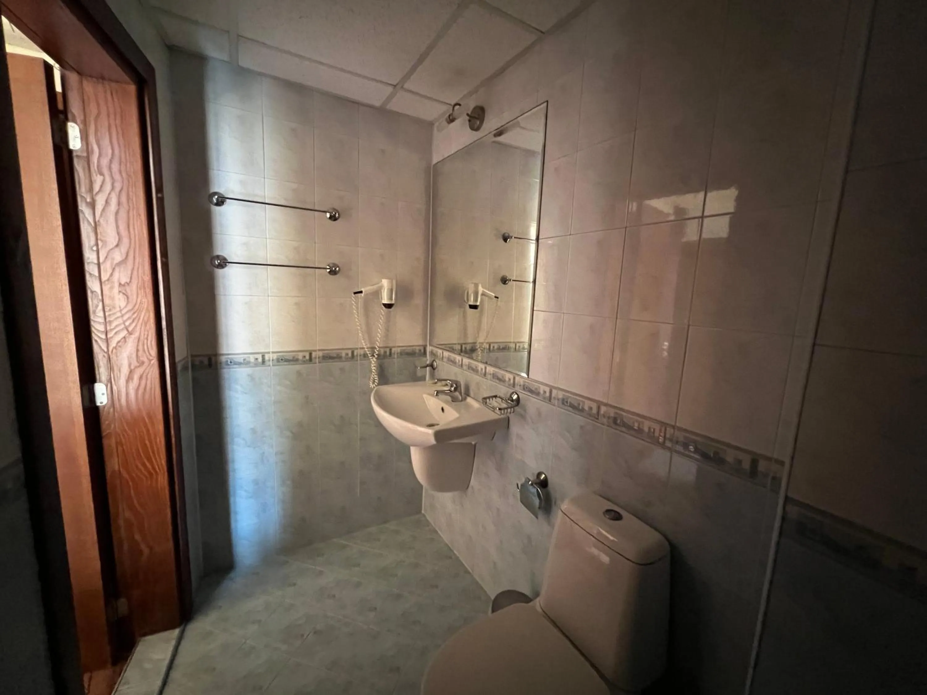 Toilet in HOTEL BOLYARI