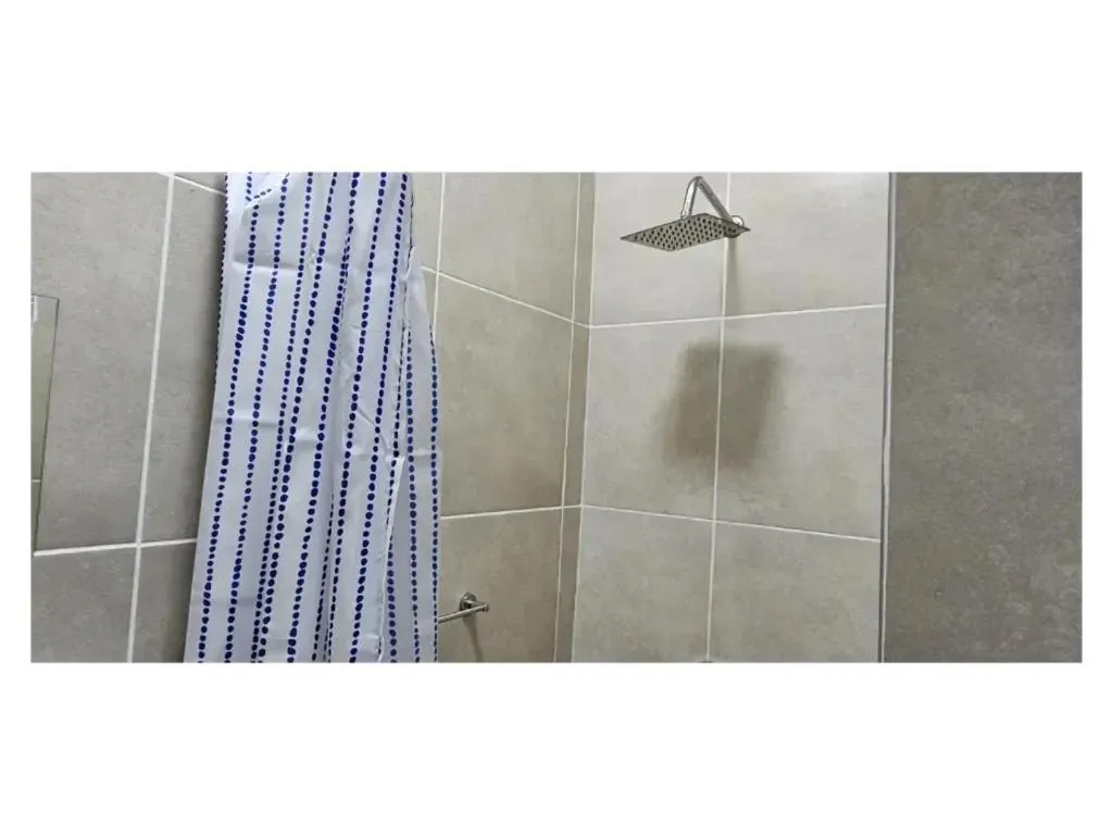 Toilet in Goshen Lodge Fitzroy