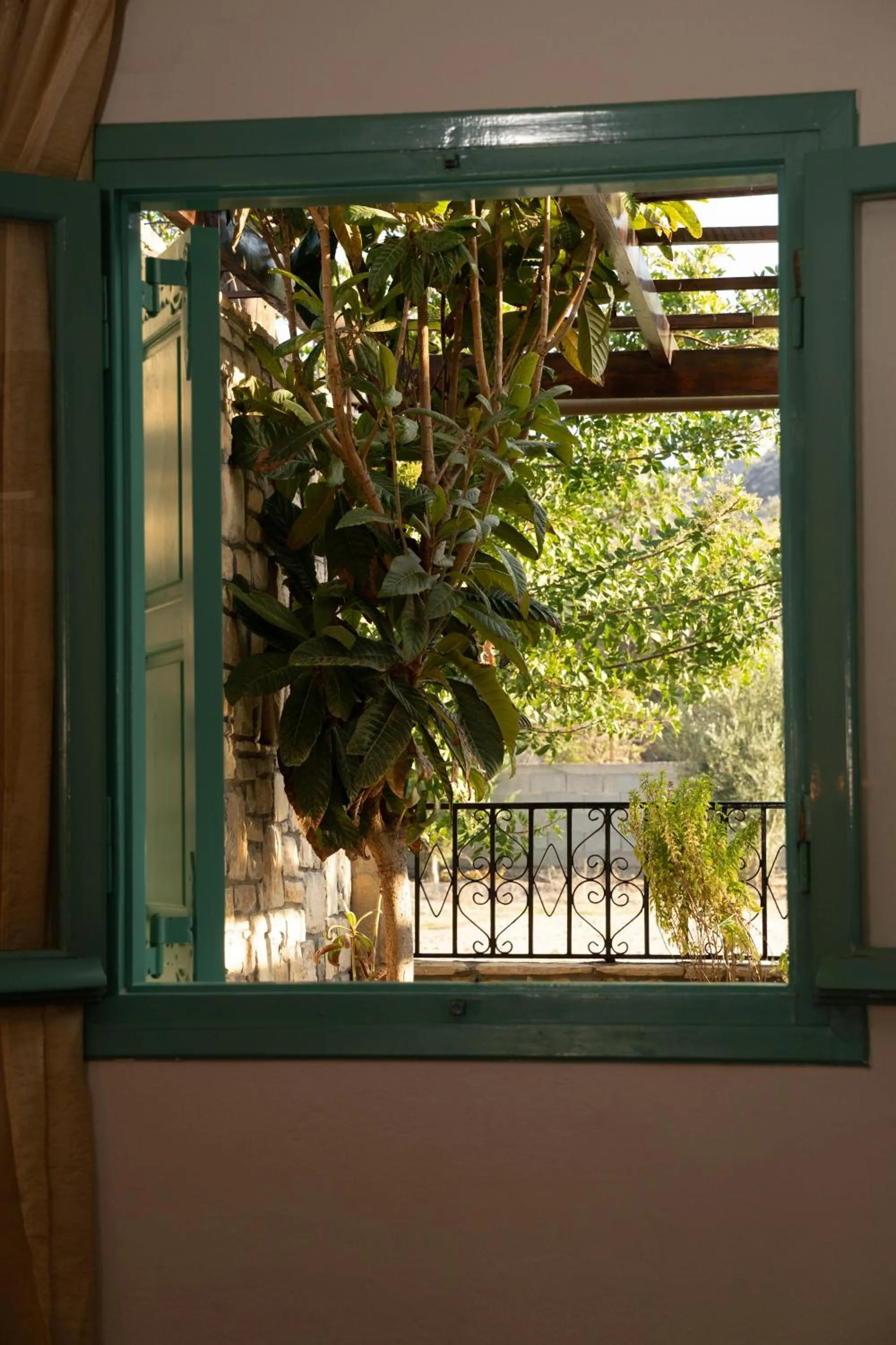 Garden view in Dimitris Villa Hotel