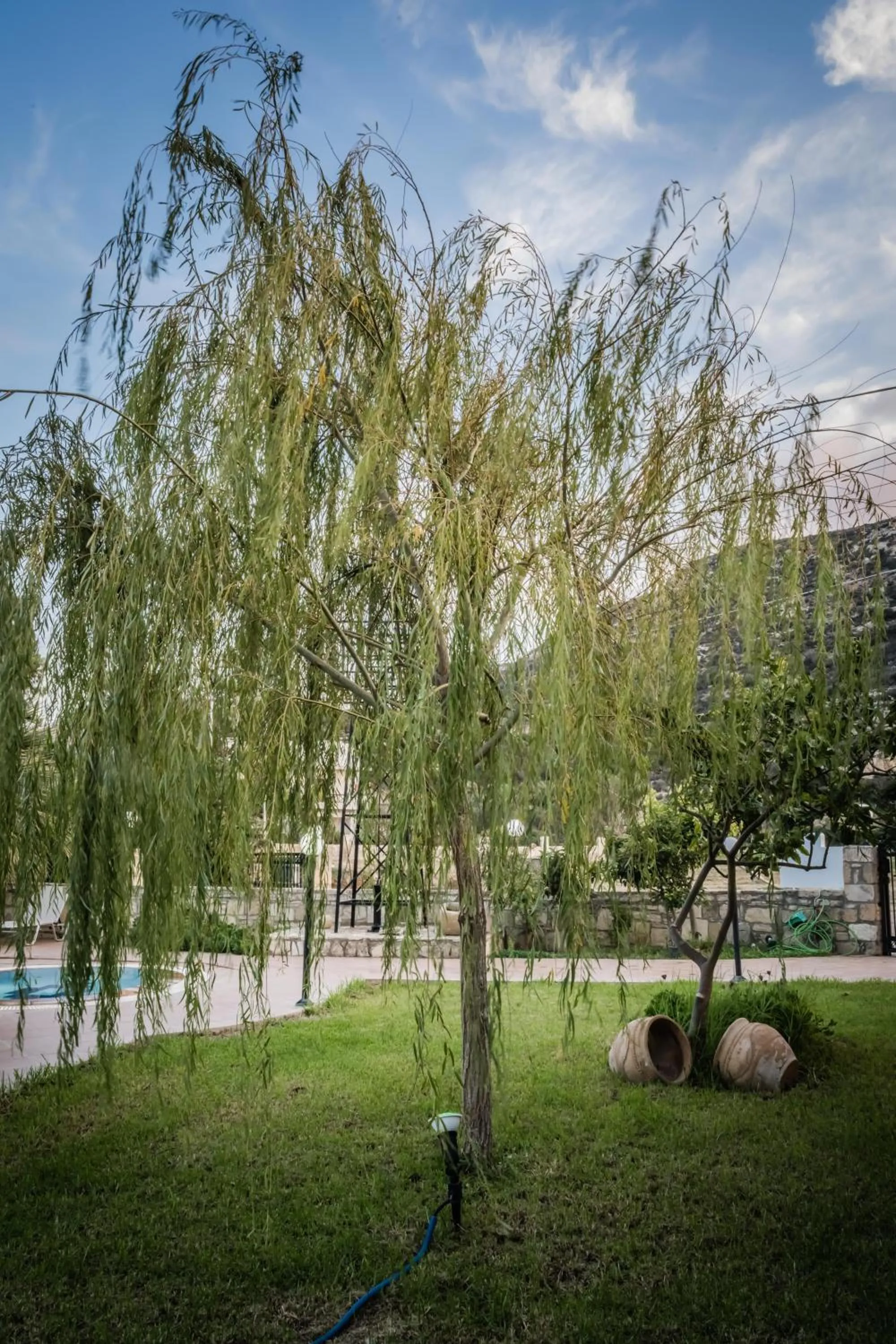 Garden in Dimitris Villa Hotel