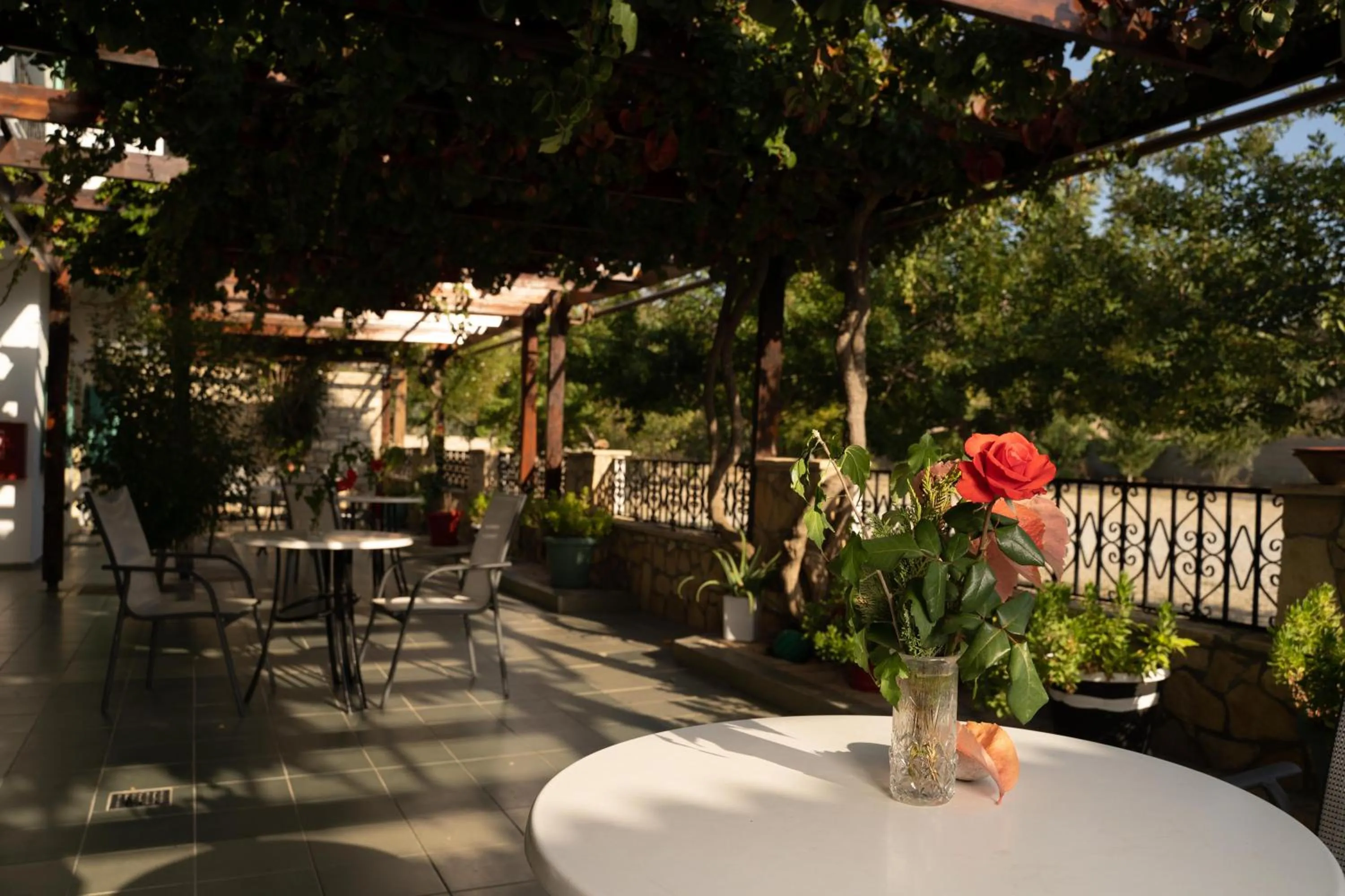 Patio in Dimitris Villa Hotel