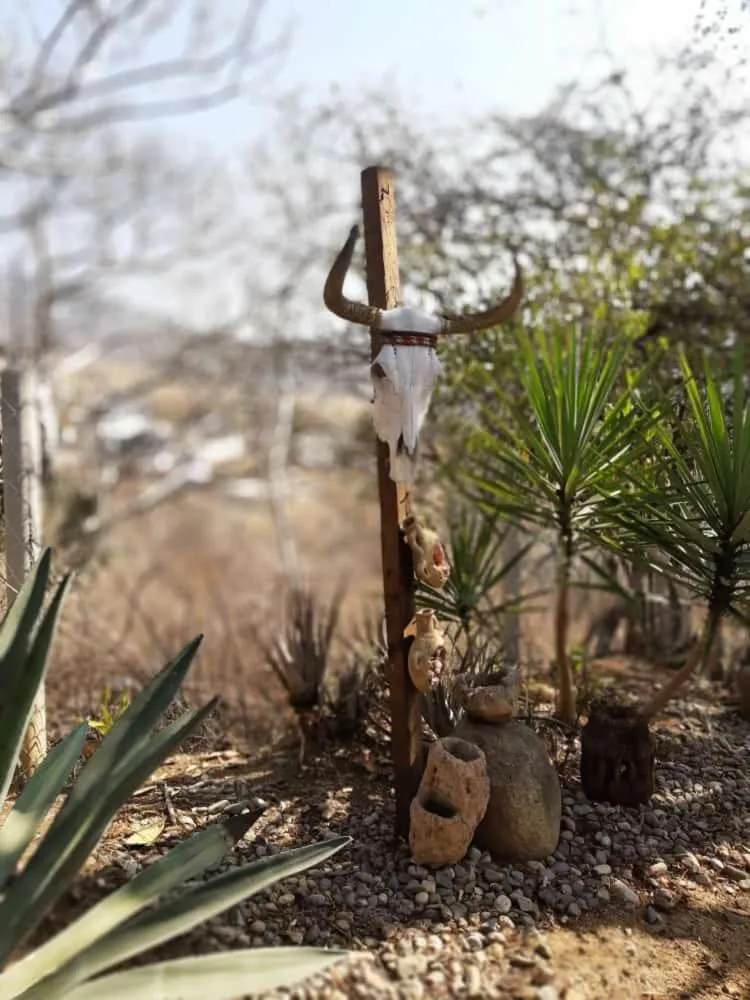 Day in Huayápam Yù'ú Lodge