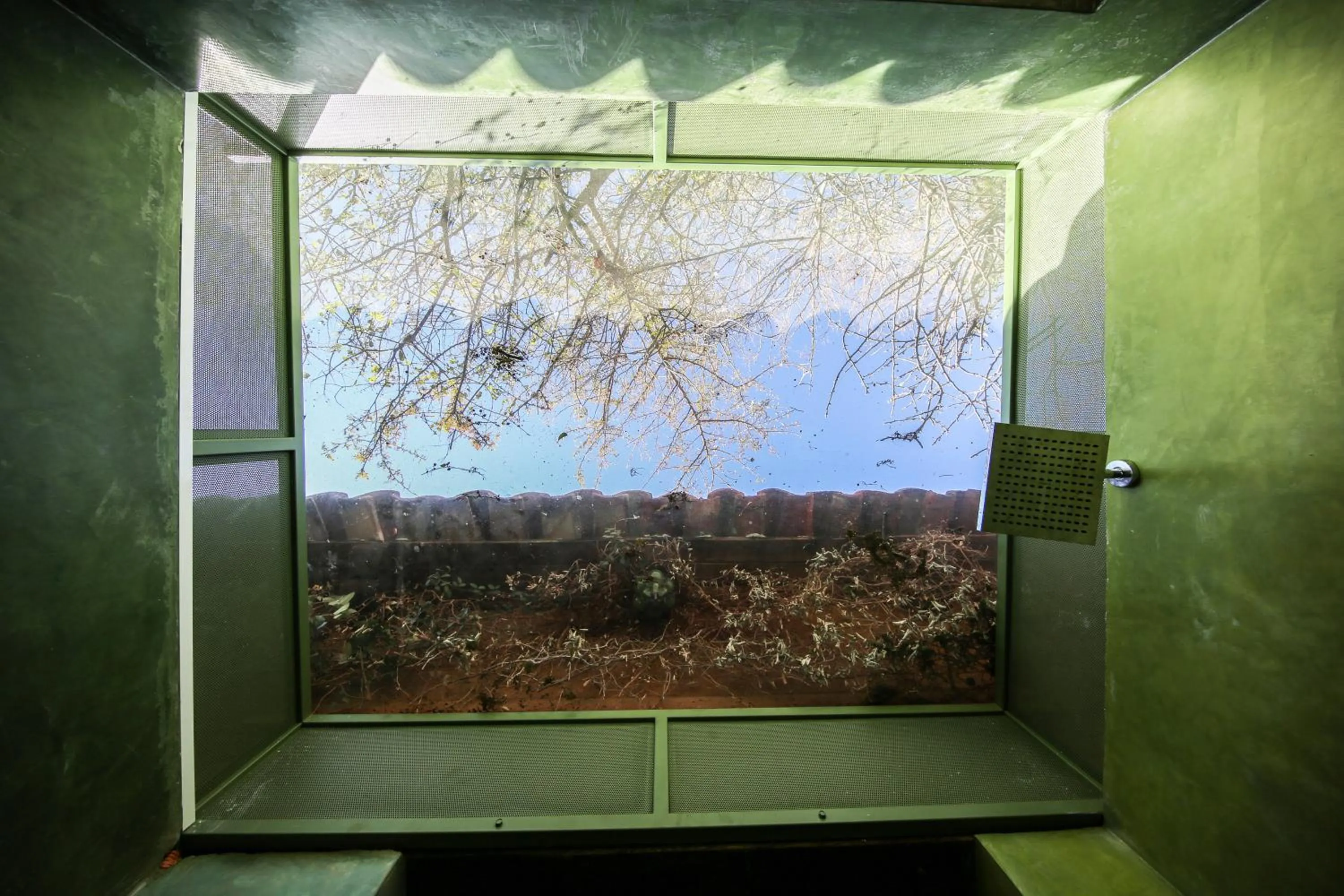 Day in Huayápam Yù'ú Lodge