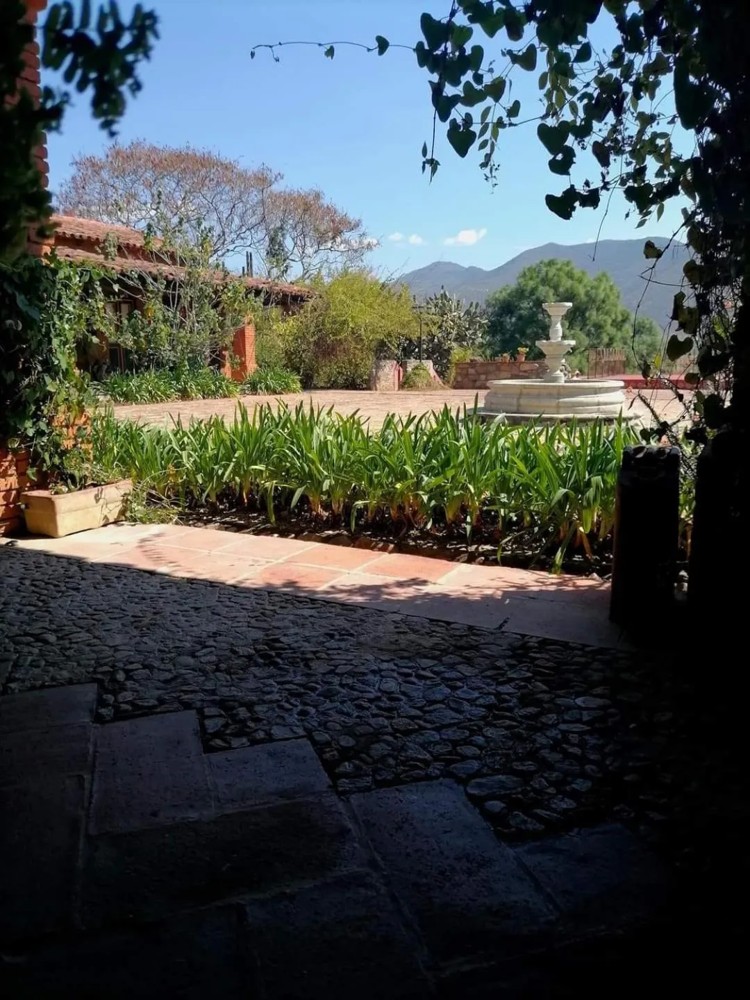 Day in Huayápam Yù'ú Lodge