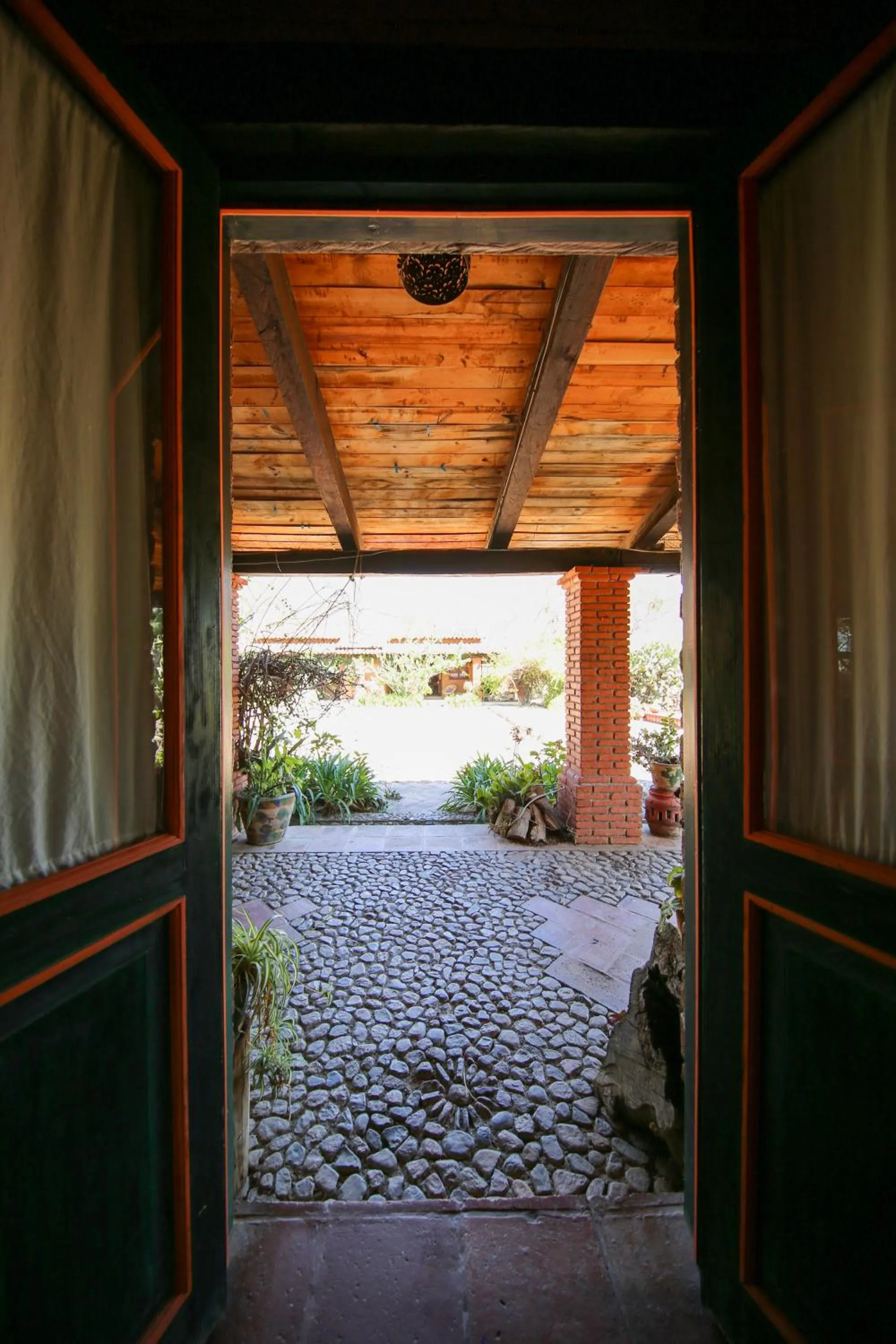 Garden in Huayápam Yù'ú Lodge
