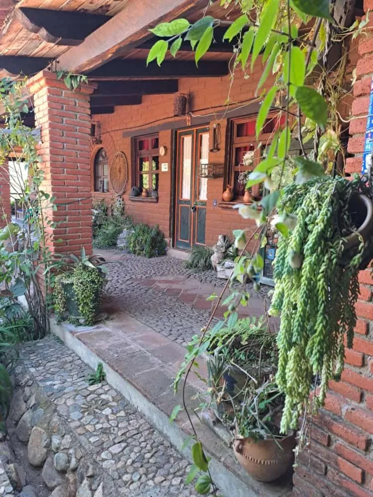 Garden in Huayápam Yù'ú Lodge