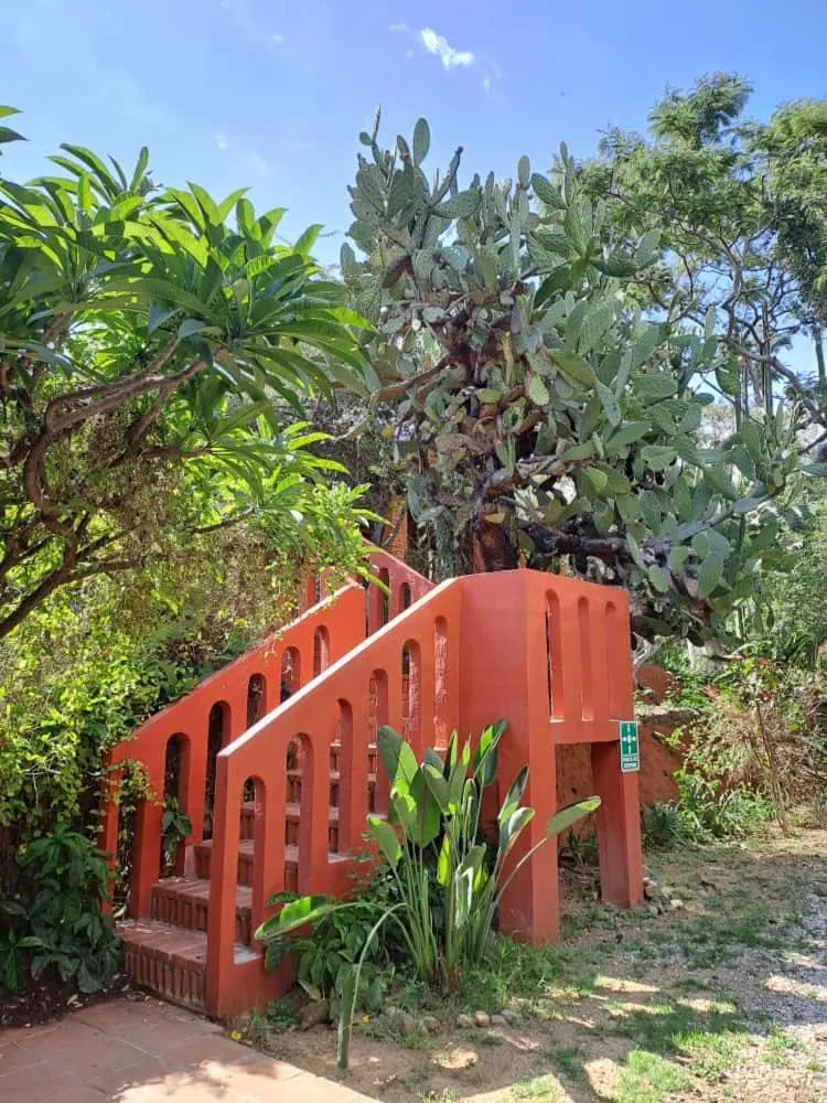 Garden in Huayápam Yù'ú Lodge