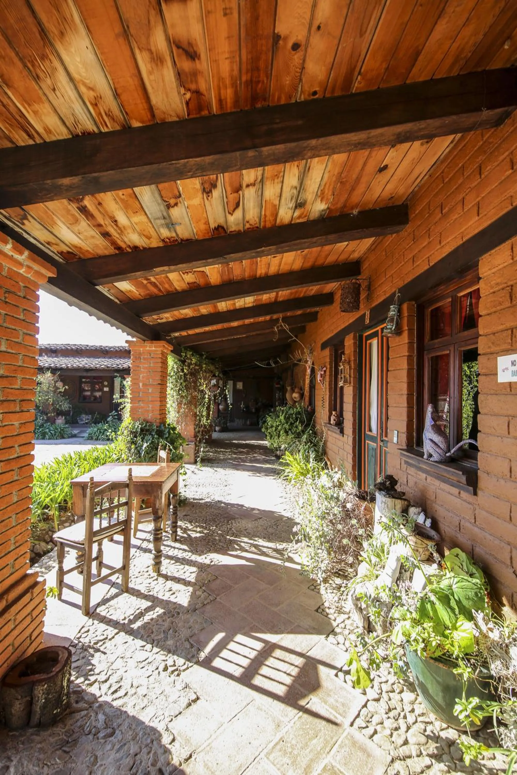 Garden in Huayápam Yù'ú Lodge