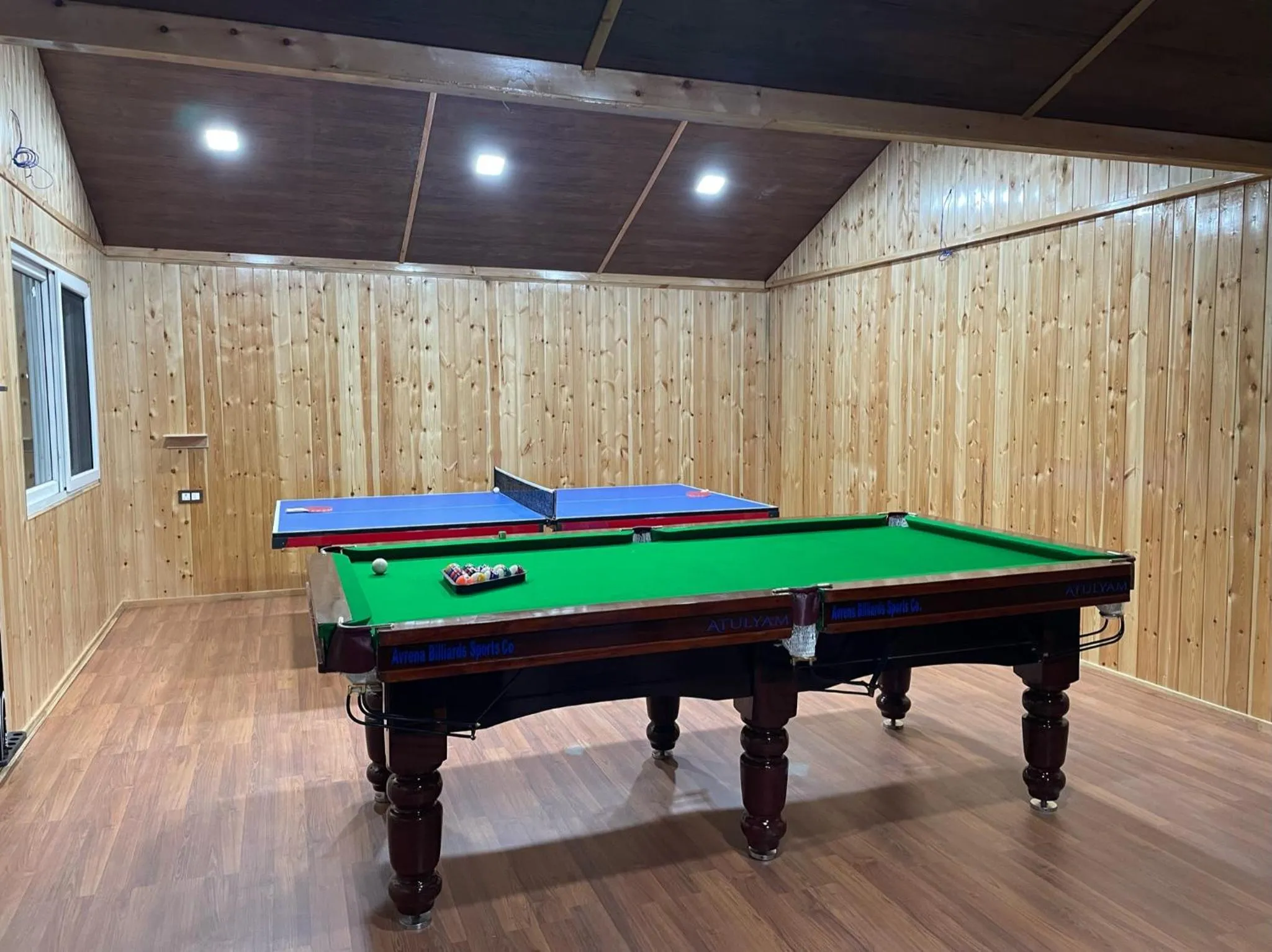 Game Room in Atulyam, Pangot