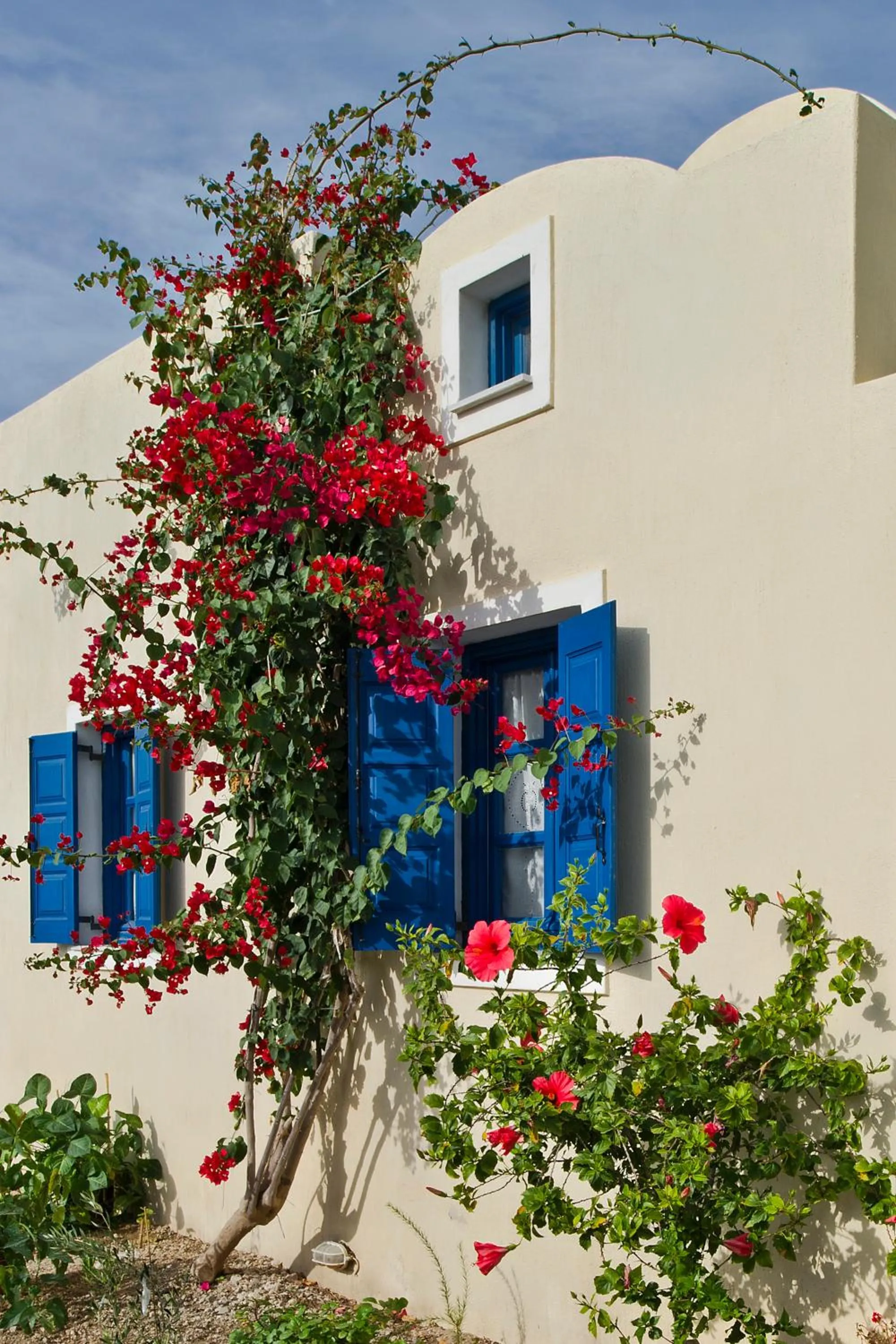 Garden in Irigeneia Hotel