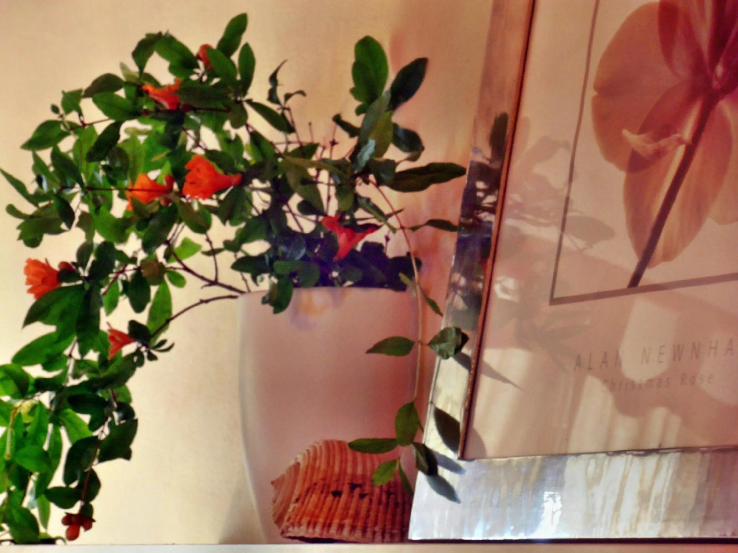 Decorative detail in Ilios Studios