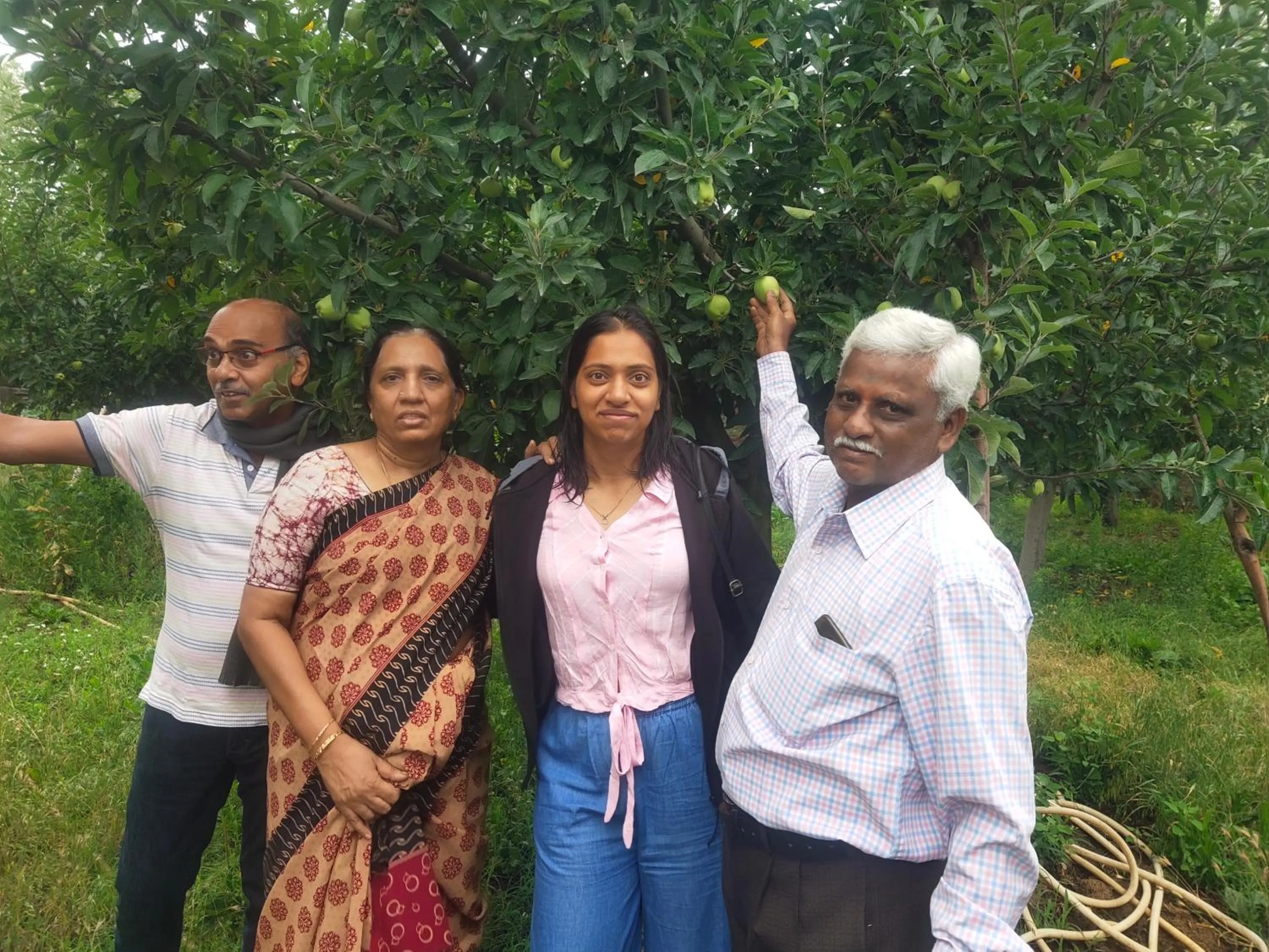 Spring in Gulsitara Resorts-Gulmarg